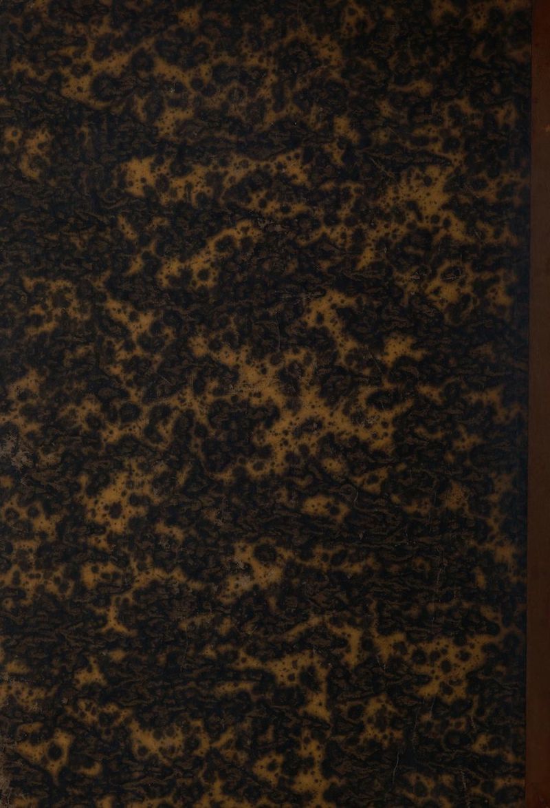 var ”  ss Fr... “Ph