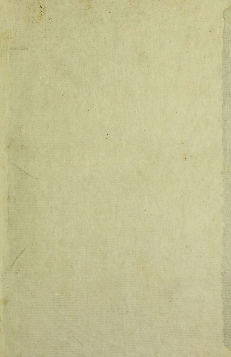 '1- .ii f :» ■ f ;\- ' w V S \ .: V t ‘ -r • :V..i#. •y»i > , i- L :. ‘ W»- >• ' / I • H' ' i-‘{-.-î