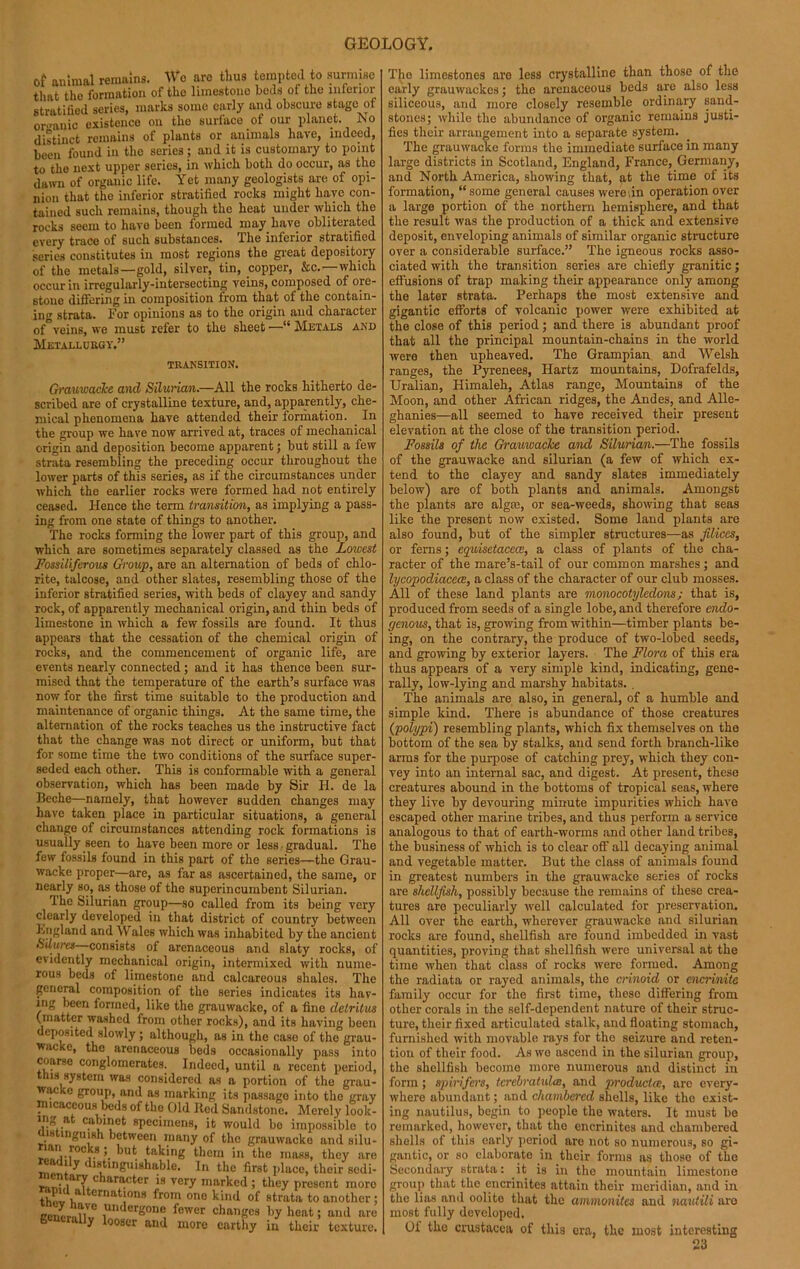 of animal remains. We are tlius tempted to surmise that the formation of the limestone beds of the inferior stratified series, marks some early and obscure stage of organic existence on the surface of our planet. No distinct remains of plants or animals have, indeed, been found in the series; and it is customary to point to tho next upper series, in which both do occur, as the dawn of organic life. Yet many geologists are of opi- nion that the inferior stratified rocks might have con- tained such remains, though the heat under which the rocks seem to havo been formed may have obliterated every trace of such substances. The inferior stratified series constitutes in most regions the great depository of the metals—gold, silver, tin, copper, &c.—which occur in irregularly-intersecting veins, composed of ore- stone differing in composition from that of the contain- ing strata. For opinions as to the origin and character of veins, we must refer to the sheet • “ Metals and Metallurgy.” transition. Grauioacke and Silurian.—All the rocks hitherto de- scribed are of crystalline texture, and, apparently, che- mical phenomena have attended their formation. In the group we have now arrived at, traces of mechanical origin and deposition become apparent; but still a few strata resembling the preceding occur throughout the lower parts of this series, as if the circumstances under which the earlier rocks were formed had not entirely ceased. Hence the term transition, as implying a pass- ing from one state of things to another. The rocks forming the lower part of this group, and which are sometimes separately classed as the Lowest Fossiliferous Group, are an alternation of beds of chlo- rite, talcose, and other slates, resembling those of the inferior stratified series, with beds of clayey and sandy rock, of apparently mechanical origin, and thin beds of limestone in which a few fossils are found. It thus appears that the cessation of the chemical origin of rocks, and the commencement of organic life, are events nearly connected; and it has thence been sur- mised that the temperature of the earth’s surface was now for the first time suitable to the production and maintenance of organic things. At the same time, the alternation of the rocks teaches us the instructive fact that the change was not direct or uniform, but that for some time the two conditions of the surface super- seded each other. This is conformable with a general observation, which has been made by Sir H. de la Beche—namely, that however sudden changes may have taken place in particular situations, a general change of circumstances attending rock formations is usually seen to have been more or less gradual. The few fossils found in this part of the series—the Grau- wacke proper—are, as far as ascertained, the same, or nearly so, as those of the superincumbent Silurian. The Silurian group—so called from its being very clearly developed in that district of country between England and Wales which was inhabited by the ancient iSilures consists of arenaceous and slaty rocks, of evidently mechanical origin, intermixed with nume- rous beds of limestone and calcareous shales. The general composition of the series indicates its hav- ing been formed, like the grauwacke, of a fine detritus (matter washed from other rocks), and its having been deposited slowly ; although, as in the case of the grau- wacke, the arenaceous beds occasionally pass into coarse conglomerates. Indeed, until a recent period, this system was considered as a portion of the grau- wacke group, and as marking its passago into the gray micaceous beds of tho Old Bed Sandstone. Merely look- ing a cabinet specimens, it would bo impossible to is mguish between many of the grauwacke and silu- 'an..foc,,s’. but taking them in the mass, they are readily distinguishable. In the first place, their sedi- nln;,iaTChara<:tCr i8 very marked ; they present moro thov h lternat;ons from one kind of strata to another ; ReueraBv 1Ufinder“one] fcwer changes by heat; and are generally looser and moro earthy in their texture. The limestones are less crystalline than those of the early grauwackes; the arenaceous beds are also less siliceous, and more closely resemble ordinary sand- stones; while the abundance of organic remains justi- fies their arrangement into a separate system. The grauwacke forms the immediate surface in many large districts in Scotland, England, France, Germany, and North America, showing that, at the time of its formation, “some general causes were,in operation over a large portion of the northern hemisphere, and that the result was the production of a thick and extensive deposit, enveloping animals of similar organic structure over a considerable surface.” The igneous rocks asso- ciated with the transition series are chiefly granitic; effusions of trap making their appearance only among the later strata. Perhaps the most extensive and gigantic efforts of volcanic power were exhibited at tho close of this period; and there is abundant proof that all the principal mountain-chains in the world were then upheaved. The Grampian and Welsh ranges, the Pyrenees, Hartz mountains, Dofrafelds, Uralian, Himaleh, Atlas range, Mountains of the Moon, and other African ridges, the Andes, and Alle- ghanies—all seemed to have received their present elevation at the close of the transition period. Fossils of the Grauwacke and Silurian.—The fossils of the grauwacke and Silurian (a few of which ex- tend to the clayey and sandy slates immediately below) are of both plants and animals. Amongst the plants are algce, or sea-weeds, showing that seas like the present now existed. Some land plants are also found, but of the simpler structures—as filiccs, or ferns; equisetacece, a class of plants of the cha- racter of the mare’s-tail of our common marshes; and lycopodiacece, a class of the character of our club mosses. All of these land plants are monocotyledons; that is, produced from seeds of a single lobe, and therefore endo- genous, that is, growing from within—timber plants be- ing, on the contrary, the produce of two-lobed seeds, and growing by exterior layers. The Flora of this era thus appears of a very simple kind, indicating, gene- rally, low-lying and marshy habitats. . The animals are also, in general, of a humble and simple kind. There is abundance of those creatures (polypi) resembling plants, which fix themselves on the bottom of the sea by stalks, and send forth branch-like arms for the purpose of catching prey, which they con- vey into an internal sac, and digest. At present, these creatures abound in the bottoms of tropical seas, where they live by devouring minute impurities which have escaped other marine tribes, and thus perform a service analogous to that of earth-worms and other land tribes, the business of which is to clear off all decaying animal and vegetable matter. But the class of animals found in greatest numbers in the grauwacke series of rocks are shellfish, possibly because the remains of these crea- tures are peculiarly well calculated for preservation. All over the earth, wherever grauwacke and Silurian rocks are found, shellfish are found imbedded in vast quantities, proving that shellfish were universal at the time when that class of rocks were formed. Among the radiata or rayed animals, the crinoid or cncrinite family occur for the first time, these differing from other corals in the self-dependent nature of their struc- ture, their fixed articulated stalk, and floating stomach, furnished with movable rays for the seizure and reten- tion of their food. As we ascend in the silurian group, the shellfish become more numerous and distinct in form ; spirifers, terebratidee, and producUc, are every- where abundant; and chambered shells, like the exist- ing nautilus, begin to people the waters. It must be remarked, however, that the encrinites and chambered shells of this early period are not so numerous, so gi- gantic, or so elaborate in their forms as those of tho Secondary strata: it is in the mountain limestone group that the encrinites attain their meridian, and in the lias and oolito that the ammonites and nautili are most fully developed. Of the Crustacea of this era, the most interesting