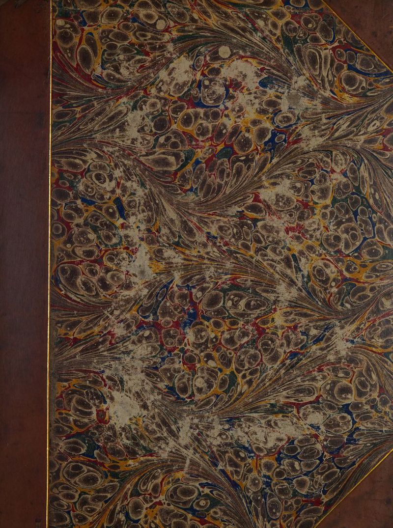 No text description is available for this image