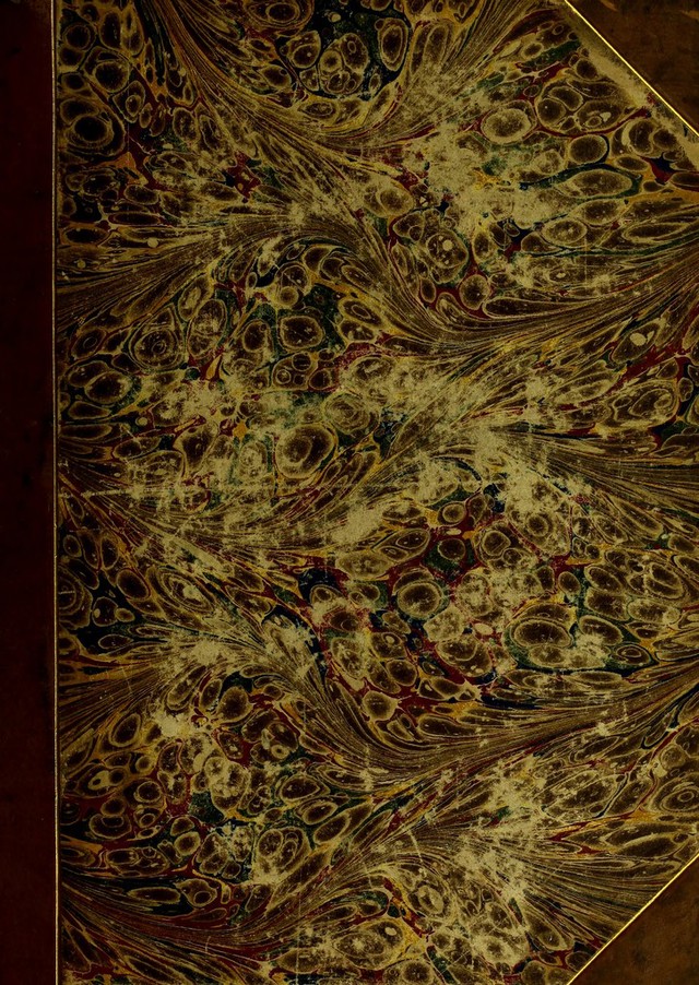 digitised image 1