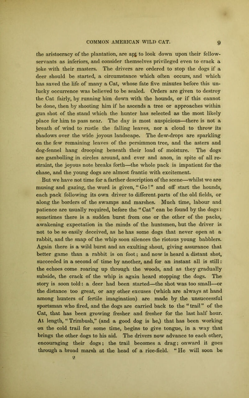 the aristocracy of the plantation, are apt to look down upon their fellow- servants as inferiors, and consider themselves privileged even to crack a joke with their masters. The drivers are ordered to stop the dogs if a deer should be started, a circumstance which often occurs, and which has saved the life of many a Cat, whose fate five minutes before this un- lucky occurrence was believed to be sealed. Orders are given to destroy the Cat fairly, by running him down with the hounds, or if this cannot be done, then by shooting him if he ascends a tree or approaches within gun shot of the stand which the hunter has selected as the most likely place for him to pass near. The day is most auspicious—there is not a breath of wind to rustle the falling leaves, nor a cloud to throw its shadows over the wide joyous landscape. The dew-drops are sparkling on the few remaining leaves of the persimmon tree, and the asters and dog-fennel hang drooping beneath their load of moisture. The dogs are gambolling in circles around, and ever and anon, in spite of all re- straint, the joyous note breaks forth—the whole pack is impatient for the chase, and the young dogs are almost frantic with excitement. But we have not time for a farther description of the scene—whilst we are musing and gazing, the word is given, “ Go! ” and off start the hounds, each pack following its own driver to different parts of the old fields, or along the borders of the swamps and marshes. Much time, labour and patience are usually required, before the “Cat” can be found by the dogs: sometimes there is a sudden burst from one or the other of the packs, awakening expectation in the minds of the huntsmen, but the driver is not to be so easily deceived, as he has some dogs that never open at a rabbit, and the snap of the whip soon silences the riotous young babblers. Again there is a wild burst and an exulting shout, giving assurance that better game than a rabbit is on foot; and now is heard a distant shot, succeeded in a second of time by another, and for an instant all is still: the echoes come roaring up through the Woods, and as they gradually subside, the crack of the whip is again heard stopping the dogs. The story is soon told: a deer had been started—the shot was too small—or the distance too great, or any other excuses (which are always at hand among hunters of fertile imagination) are made by the unsuccessful sportsman who fired, and the dogs are carried back to the “ trail ” of the Cat, that has been growing fresher and fresher for the last half hour. At length, “ Trimbush,” (and a good dog is he,) that has been working on the cold trail for some time, begins to give tongue, in a way that brings the other dogs to his aid. The drivers now advance to each other, encouraging their dogs; the trail becomes a drag; onward it goes through a broad marsh at the head of a rice-field. “ He will soon be 2