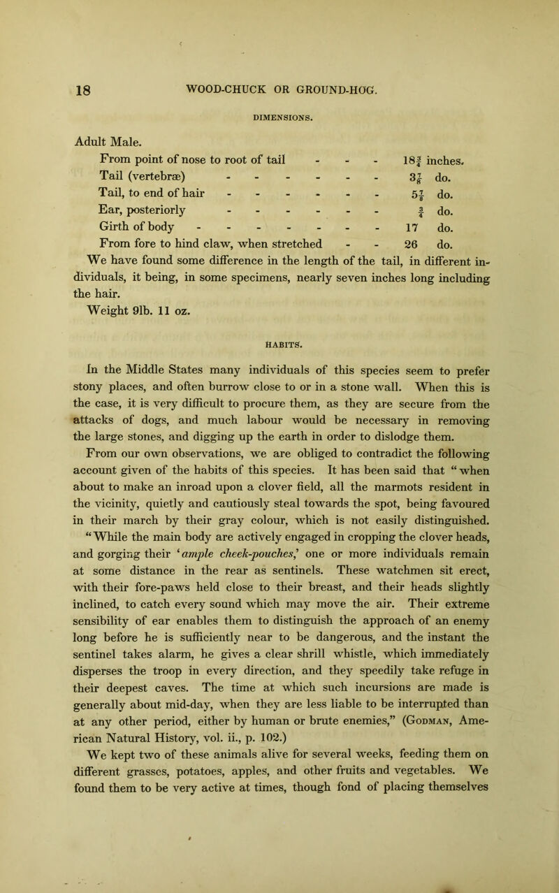 DIMENSIONS. Adult Male. From point of nose to root of tail - - - 18f inches. Tail (vertebrae) 3|do. Tail, to end of hair 5| do. Ear, posteriorly | do. Girth of body 17 do. From fore to hind claw, when stretched - - 26 do. We have found some difference in the length of the tail, in different in- dividuals, it being, in some specimens, nearly seven inches long including the hair. Weight 91b. 11 oz. HABITS. In the Middle States many individuals of this species seem to prefer stony places, and often burrow close to or in a stone wall. When this is the case, it is very difficult to procure them, as they are secure from the attacks of dogs, and much labour would be necessary in removing the large stones, and digging up the earth in order to dislodge them. From our own observations, we are obliged to contradict the following account given of the habits of this species. It has been said that “ when about to make an inroad upon a clover field, all the marmots resident in the vicinity, quietly and cautiously steal towards the spot, being favoured in their march by their gray colour, which is not easily distinguished. “ While the main body are actively engaged in cropping the clover heads, and gorging their ‘ ample cheek-pouches,’ one or more individuals remain at some distance in the rear as sentinels. These watchmen sit erect, with their fore-paws held close to their breast, and their heads slightly inclined, to catch every sound which may move the air. Their extreme sensibility of ear enables them to distinguish the approach of an enemy long before he is sufficiently near to be dangerous, and the instant the sentinel takes alarm, he gives a clear shrill whistle, which immediately disperses the troop in every direction, and they speedily take refuge in their deepest caves. The time at which such incursions are made is generally about mid-day, when they are less liable to be interrupted than at any other period, either by human or brute enemies,” (Godman, Ame- rican Natural History, vol. ii., p. 102.) We kept two of these animals alive for several weeks, feeding them on different grasses, potatoes, apples, and other fruits and vegetables. We found them to be very active at times, though fond of placing themselves
