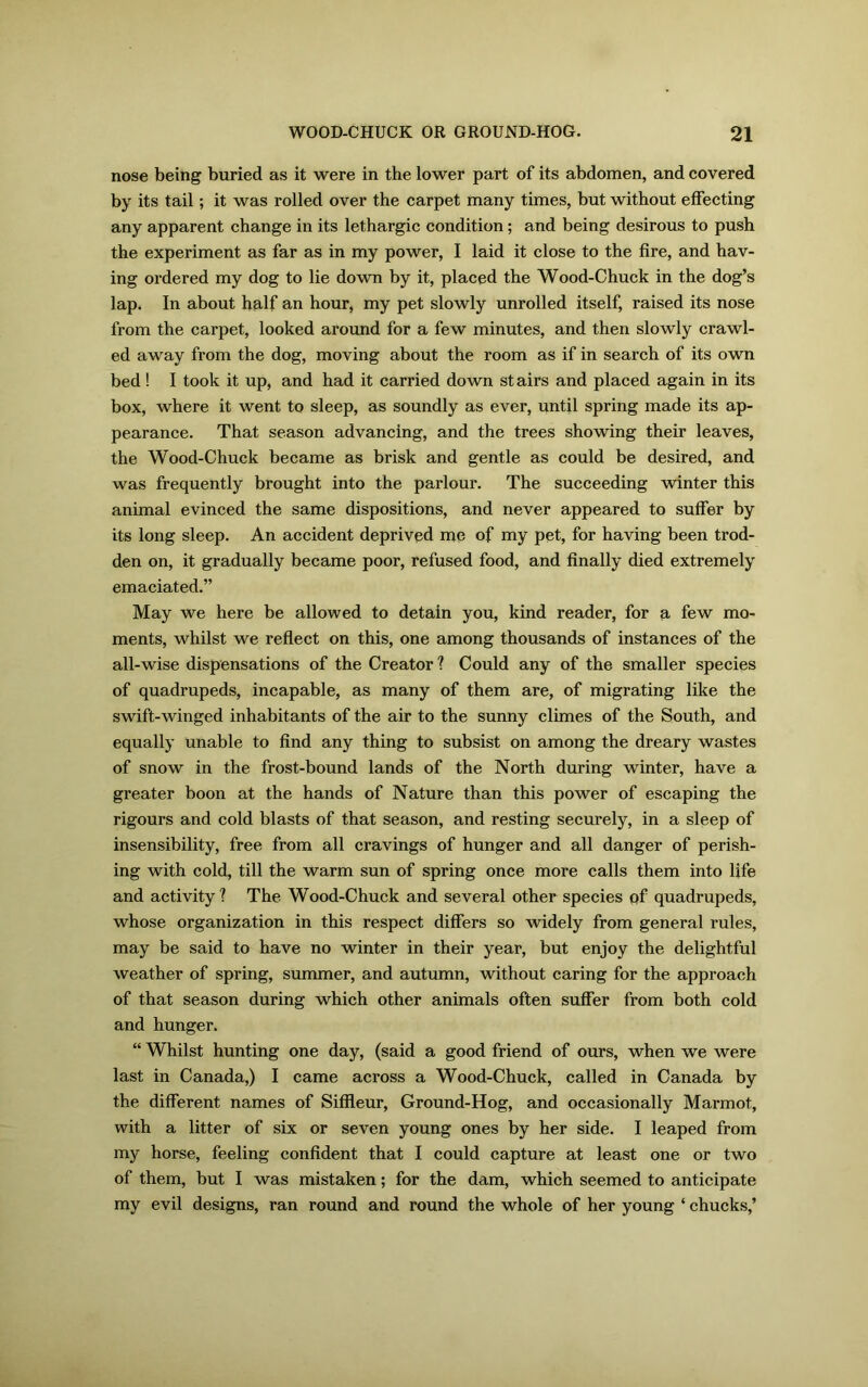 nose being buried as it were in the lower part of its abdomen, and covered by its tail; it was rolled over the carpet many times, but without effecting any apparent change in its lethargic condition; and being desirous to push the experiment as far as in my power, I laid it close to the fire, and hav- ing ordered my dog to lie down by it, placed the Wood-Chuck in the dog’s lap. In about half an hour, my pet slowly unrolled itself, raised its nose from the carpet, looked around for a few minutes, and then slowly crawl- ed away from the dog, moving about the room as if in search of its own bed ! I took it up, and had it carried down st airs and placed again in its box, where it went to sleep, as soundly as ever, until spring made its ap- pearance. That season advancing, and the trees showing their leaves, the Wood-Chuck became as brisk and gentle as could be desired, and was frequently brought into the parlour. The succeeding winter this animal evinced the same dispositions, and never appeared to suffer by its long sleep. An accident deprived me of my pet, for having been trod- den on, it gradually became poor, refused food, and finally died extremely emaciated.” May we here be allowed to detain you, kind reader, for a few mo- ments, whilst we reflect on this, one among thousands of instances of the all-wise dispensations of the Creator ? Could any of the smaller species of quadrupeds, incapable, as many of them are, of migrating like the swift-winged inhabitants of the air to the sunny climes of the South, and equally unable to find any thing to subsist on among the dreary wastes of snow in the frost-bound lands of the North during winter, have a greater boon at the hands of Nature than this power of escaping the rigours and cold blasts of that season, and resting securely, in a sleep of insensibility, free from all cravings of hunger and all danger of perish- ing with cold, till the warm sun of spring once more calls them into life and activity ? The Wood-Chuck and several other species of quadrupeds, whose organization in this respect differs so widely from general rules, may be said to have no winter in their year, but enjoy the delightful weather of spring, summer, and autumn, without caring for the approach of that season during which other animals often suffer from both cold and hunger. “ Whilst hunting one day, (said a good friend of ours, when we were last in Canada,) I came across a Wood-Chuck, called in Canada by the different names of Siffleur, Ground-Hog, and occasionally Marmot, with a litter of six or seven young ones by her side. I leaped from my horse, feeling confident that I could capture at least one or two of them, but I was mistaken; for the dam, which seemed to anticipate my evil designs, ran round and round the whole of her young ‘ chucks,’