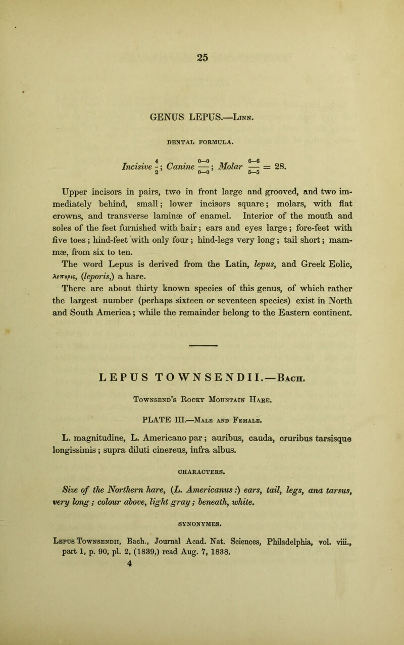 GENUS LEPUS.—Linn. DENTAL FORMULA. Incisive -; Canine —; Molar — = 28. 2 ’ 0-0 ’ 5-5 Upper incisors in pairs, two in front large and grooved, and two im- mediately behind, small; lower incisors square; molars, with flat crowns, and transverse laminae of enamel. Interior of the mouth and soles of the feet furnished with hair; ears and eyes large; fore-feet with five toes; hind-feet with only four ; hind-legs very long; tail short; mam- mae, from six to ten. The word Lepus is derived from the Latin, lepus, and Greek Eolic, XtTropn, (leporis,) a hare. There are about thirty known species of this genus, of which rather the largest number (perhaps sixteen or seventeen species) exist in North and South America; while the remainder belong to the Eastern continent. LEPUS TO WNSENDII. —Bach. Townsend’s Rocky Mountain Hare. PLATE III.—Male and Female. L. magnitudine, L. Americano par; auribus, cauda, cruribus tarsisque longissimis ; supra diluti cinereus, infra albus. CHARACTERS. Size of the Northern hare, (L. Americanus:) ears, tail, legs, ana tarsus, very long; colour above, light gray ; beneath, white. SYNONYMES. Lepus Townsendii, Bach., Journal Acad. Nat. Sciences, Philadelphia, vol. viii., part 1, p. 90, pi. 2, (1839,) read Aug. 7, 1838. 4