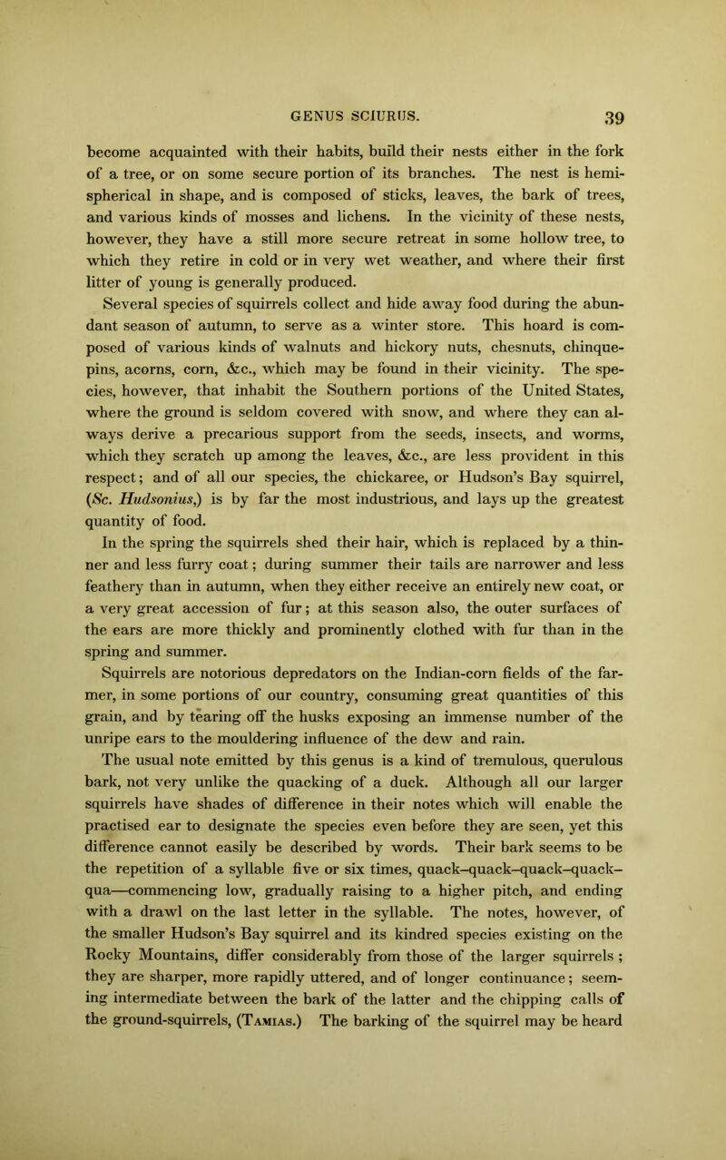 become acquainted with their habits, build their nests either in the fork of a tree, or on some secure portion of its branches. The nest is hemi- spherical in shape, and is composed of sticks, leaves, the bark of trees, and various kinds of mosses and lichens. In the vicinity of these nests, however, they have a still more secure retreat in some hollow tree, to which they retire in cold or in very wet weather, and where their first litter of young is generally produced. Several species of squirrels collect and hide away food during the abun- dant season of autumn, to serve as a winter store. This hoard is com- posed of various kinds of walnuts and hickory nuts, chesnuts, chinque- pins, acorns, corn, &c., which may be found in their vicinity. The spe- cies, however, that inhabit the Southern portions of the United States, where the ground is seldom covered with snow, and where they can al- ways derive a precarious support from the seeds, insects, and worms, which they scratch up among the leaves, &c., are less provident in this respect; and of all our species, the chickaree, or Hudson’s Bay squirrel, (Sc. Hudsonius,) is by far the most industrious, and lays up the greatest quantity of food. In the spring the squirrels shed their hair, which is replaced by a thin- ner and less furry coat; during summer their tails are narrower and less feathery than in autumn, when they either receive an entirely new coat, or a very great accession of fur; at this season also, the outer surfaces of the ears are more thickly and prominently clothed with fur than in the spring and summer. Squirrels are notorious depredators on the Indian-corn fields of the far- mer, in some portions of our country, consuming great quantities of this grain, and by tearing off the husks exposing an immense number of the unripe ears to the mouldering influence of the dew and rain. The usual note emitted by this genus is a kind of tremulous, querulous bark, not very unlike the quacking of a duck. Although all our larger squirrels have shades of difference in their notes which will enable the practised ear to designate the species even before they are seen, yet this difference cannot easily be described by words. Their bark seems to be the repetition of a syllable five or six times, quack-quack-quack-quack- qua—commencing low, gradually raising to a higher pitch, and ending with a drawl on the last letter in the syllable. The notes, however, of the smaller Hudson’s Bay squirrel and its kindred species existing on the Rocky Mountains, differ considerably from those of the larger squirrels ; they are sharper, more rapidly uttered, and of longer continuance; seem- ing intermediate between the bark of the latter and the chipping calls of the ground-squirrels, (Tamias.) The barking of the squirrel may be heard
