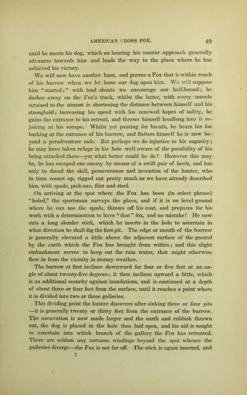 until he meets his dog, which on hearing his master approach generally advances towards him and leads the way to the place where he has achieved his victory. We will now have another hunt, and pursue a Fox that is within reach of his burrow when we let loose our dog upon him. We will suppose him “ started; ” with loud shouts we encourage our half-hound; he dashes away on the Fox’s track, whilst the latter, with every muscle strained to the utmost is shortening the distance between himself and his stronghold; increasing his speed with his renewed hopes of safety, he gains the entrance to his retreat, and throws himself headlong into it re- joicing at his escape. Whilst yet panting for breath, he hears his foe barking at the entrance of his burrow, and flatters himself he is now be- yond a peradventure safe. But perhaps we do injustice to his sagacity; he may have taken refuge in his hole well aware of the possibility of his being attacked there—yet what better could he do ? However this may be, he has escaped one enemy by means of a swift pair of heels, and has only to dread the skill, perseverance and invention of the hunter, who in time comes up, rigged out pretty much as we have already described him, with spade, pick-axe, flint and steel. On arriving at the spot where the Fox has been (in select phrase) “holed,” the sportsman surveys the place, and if it is on level ground where he can use the spade, throws off his coat, and prepares for his work with a determination to have “ that ” fox, and no mistake! He now cuts a long slender stick, which he inserts in the hole to ascertain in what direction he shall dig the first pit. The edge or mouth of the burrow is generally elevated a little above the adjacent surface of the ground by the earth which the Fox has brought from within ; and this slight embankment serves to keep out the rain water, that might otherwise flow in from the vicinity in stormy weather. The burrow at first inclines downward for four or five feet at an an- gle of about twenty-five degrees; it then inclines upward a little, which is an additional security against inundations, and is continued at a depth of about three or four feet from the surface, until it reaches a point where it is divided into two or three galleries. This dividing point the hunter discovers after sinking three or four pits —it is generally twenty or thirty feet from the entrance of the burrow. The excavation is now made larger and the earth and rubbish thrown out, the dog is placed in the hole thus laid open, and his aid is sought to ascertain into which branch of the gallery the Fox has retreated. There are seldom any tortuous windings beyond the spot whence the galleries diverge—the Fox is not far off. The stick is again inserted, and 7