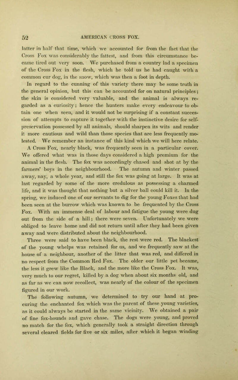 latter in half that time, which we accounted for from the fact that the Cross Fox was considerably the fattest, and from this circumstance be- came tired out very soon. We purchased from a country lad a specimen of the Cross Fox in the flesh, which he told us he had caught with a common cur dog, in the snow, which was then a foot in depth. In regard to the cunning of this variety there may be some truth in the general opinion, but this can be accounted for on natural principles; the skin is considered very valuable, and the animal is always re- garded as a curiosity; hence the hunters make every endeavour to ob- tain one when seen, and it would not be surprising if a constant succes- sion of attempts to capture it together with the instinctive desire for self- preservation possessed by all animals, should sharpen its wits and render it more cautious and wild than those species that are less frequently mo- lested. We remember an instance of this kind which we will here relate. A Cross Fox, nearly black, was frequently seen in a particular cover. We offered what was in those days considered a high premium for the animal in the flesh. The fox was accordingly chased and shot at by the farmers’ boys in the neighbourhood. The autumn and winter passed away, nay, a whole year, and still the fox was going at large. It was at last regarded by some of the more credulous as possessing a charmed life, and it was thought that nothing but a silver ball could kill it. In the spring, we induced one of our servants to dig for the young Foxes that had been seen at the burrow which was known to be frequented by the Cross Fox. With an immense deal of labour and fatigue the young were dug out from the side of a hill; there were seven. Unfortunately we were obliged to leave home and did not return until after they had been given away and were distributed about the neighbourhood. Three were said to have been black, the rest were red. The blackest of the young whelps was retained for us, and we frequently saw at the house of a neighbour, another of the litter that was red, and differed in no respect from the Common Red Fox. The older our little pet became, the less it grew like the Black, and the more like the Cross Fox. It was, very much to our regret, killed by a dog when about six months old, and as far as we can now recollect, was nearly of the colour of the specimen figured in our work. The following autumn, we determined to try our hand at pro- curing the enchanted fox which was the parent of these young varieties, as it could always be started in the same vicinity. We obtained a pair of fine fox-hounds and gave chase. The dogs were young, and proved no match for the fox, which generally took a straight direction through several cleared fields for five or six miles, after which it began winding