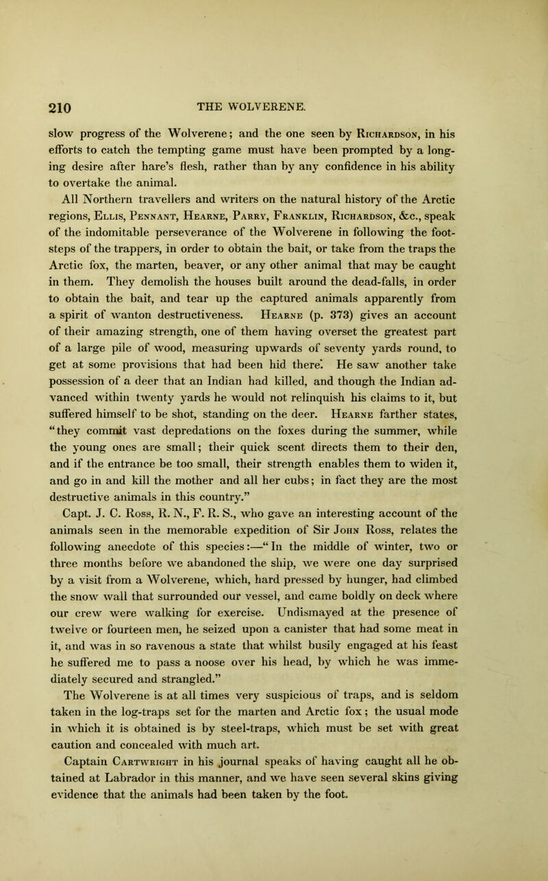 slow progress of the Wolverene; and the one seen by Richardson, in his efforts to catch the tempting game must have been prompted by a long- ing desire after hare’s flesh, rather than by any confidence in his ability to overtake the animal. All Northern travellers and writers on the natural history of the Arctic regions, Ellis, Pennant, Hearne, Parry, Franklin, Richardson, &c., speak of the indomitable perseverance of the Wolverene in following the foot- steps of the trappers, in order to obtain the bait, or take from the traps the Arctic fox, the marten, beaver, or any other animal that may be caught in them. They demolish the houses built around the dead-falls, in order to obtain the bait, and tear up the captured animals apparently from a spirit of wanton destructiveness. Hearne (p. 373) gives an account of their amazing strength, one of them having overset the greatest part of a large pile of wood, measuring upwards of seventy yards round, to get at some provisions that had been hid there*. He saw another take possession of a deer that an Indian had killed, and though the Indian ad- vanced within twenty yards he would not relinquish his claims to it, but suffered himself to be shot, standing on the deer. Hearne farther states, “they commit vast depredations on the foxes during the summer, while the young ones are small; their quick scent directs them to their den, and if the entrance be too small, their strength enables them to widen it, and go in and kill the mother and all her cubs; in fact they are the most destructive animals in this country.” Capt. J. C. Ross, R. N., F. R. S., who gave an interesting account of the animals seen in the memorable expedition of Sir John Ross, relates the following anecdote of this species:—“ In the middle of winter, two or three months before we abandoned the ship, we were one day surprised by a visit from a Wolverene, which, hard pressed by hunger, had climbed the snow wall that surrounded our vessel, and came boldly on deck where our crew were walking for exercise. Undismayed at the presence of twelve or fourteen men, he seized upon a canister that had some meat in it, and was in so ravenous a state that whilst busily engaged at his feast he suffered me to pass a noose over his head, by which he was imme- diately secured and strangled.” The Wolverene is at all times very suspicious of traps, and is seldom taken in the log-traps set for the marten and Arctic fox; the usual mode in which it is obtained is by steel-traps, which must be set with great caution and concealed with much art. Captain Cartwright in his journal speaks of having caught all he ob- tained at Labrador in this manner, and we have seen several skins giving evidence that the animals had been taken by the foot.