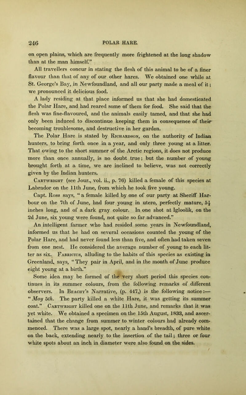 on open plains, which are frequently more frightened at the long shadow than at the man himself.” All travellers concur in stating the flesh of this animal to be of a finer flavour than that of any of our other hares. We obtained one while at St. George’s Bay, in Newfoundland, and all our party made a meal of it; we pronounced it delicious food. A lady residing at that place informed us that she had domesticated the Polar Hare, and had reared some of them for food. She said that the flesh was fine-flavoured, and the animals easily tamed, and that she had only been induced to discontinue keeping them in consequence of their becoming troublesome, and destructive in her garden. The Polar Hare is stated by Richardson, on the authority of Indian hunters, to bring forth once in a year, and only three young at a litter. That owing to the short summer of the Arctic regions, it does not produce more than once annually, is no doubt true; but the number of young brought forth at a time, we are inclined to believe, was not correctly given by the Indian hunters. Cartwright (see Jour., vol. ii., p. 76) killed a female of this species at Labrador on the 11th June, from which he took five young. Capt. Ross says, “ a female killed by one of our party at Sheriff Har- bour on the 7th of June, had four young in utero, perfectly mature, inches long, and of a dark gray colour. In one shot at Igloolik, on the 2d June, six young were found, not quite so far advanced.” An intelligent farmer who had resided some years in Newfoundland, informed us that he had on several occasions counted the young of the Polar Hare, and had never found less than five, and often had taken seven from one nest. He considered the average number of young to each lit- ter as six. Fabricius, alluding to the habits of this species as existing in Greenland, says, “ They pair in April, and in the month of June produce eight young at a birth.” Some idea may be formed of the very short period this species con- tinues in its summer colours, from the following remarks of different observers. In Be achy’s Narrative, (p. 447,) is the following notice:— “ May 5th. The party killed a white Hare, it was getting its summer coat.” Cartwright killed one on the 11th June, and remarks that it was yet white. We obtained a specimen on the 15th August, 1833, and ascer- tained that the change from summer to winter colours had already com- menced. There was a large spot, nearly a hand’s breadth, of pure white on the back, extending nearly to the insertion of the tail; three or four white spots about an inch in diameter were also found on the sides.