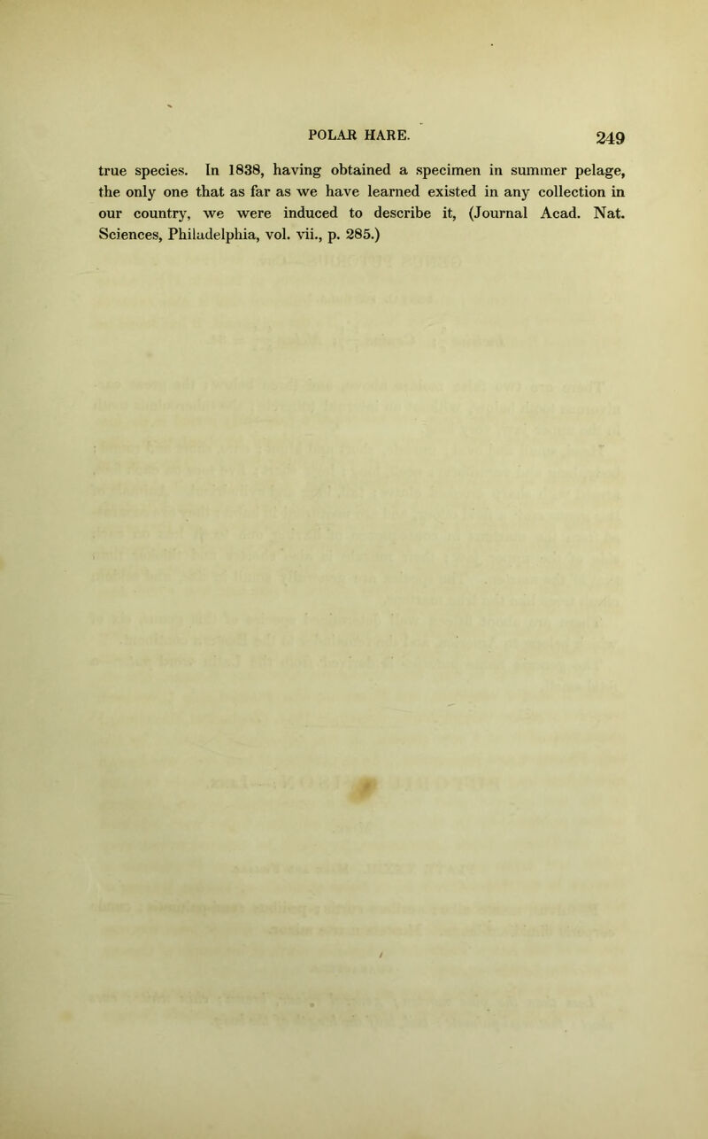 true species. In 1838, having obtained a specimen in summer pelage, the only one that as far as we have learned existed in any collection in our country, we were induced to describe it, (Journal Acad. Nat. Sciences, Philadelphia, vol. vii., p. 285.)