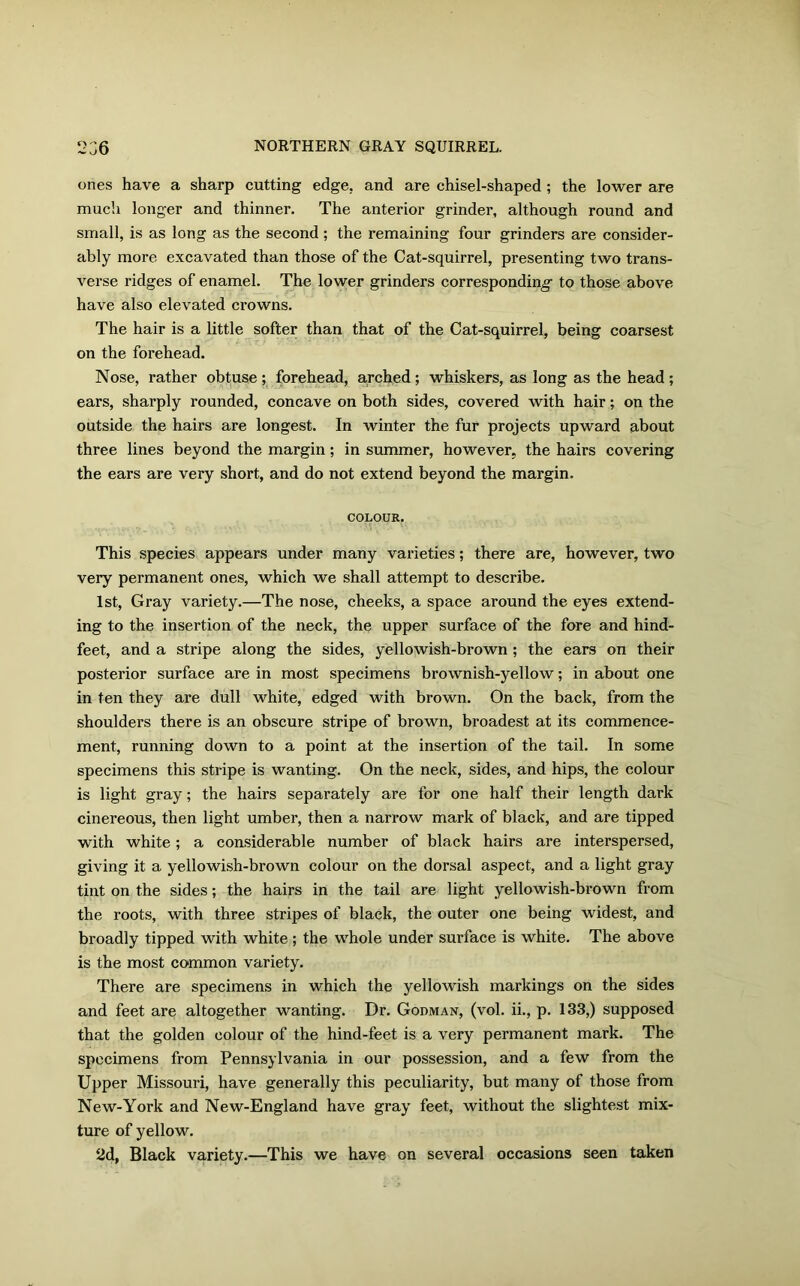 ones have a sharp cutting edge, and are chisel-shaped ; the lower are much longer and thinner. The anterior grinder, although round and small, is as long as the second; the remaining four grinders are consider- ably more excavated than those of the Cat-squirrel, presenting two trans- verse ridges of enamel. The lower grinders corresponding- to those above have also elevated crowns. The hair is a little softer than that of the Cat-squirrel, being coarsest on the forehead. Nose, rather obtuse ; forehead, arched; whiskers, as long as the head ; ears, sharply rounded, concave on both sides, covered with hair; on the outside the hairs are longest. In winter the fur projects upward about three lines beyond the margin; in summer, however, the hairs covering the ears are very short, and do not extend beyond the margin. COLOUR. This species appears under many varieties; there are, however, two very permanent ones, which we shall attempt to describe. 1st, Gray variety.—The nose, cheeks, a space around the eyes extend- ing to the insertion of the neck, the upper surface of the fore and hind- feet, and a stripe along the sides, yellowish-brown ; the ears on their posterior surface are in most specimens brownish-yellow; in about one in ten they are dull white, edged with brown. On the back, from the shoulders there is an obscure stripe of brown, broadest at its commence- ment, running down to a point at the insertion of the tail. In some specimens this stripe is wanting. On the neck, sides, and hips, the colour is light gray; the hairs separately are for one half their length dark cinereous, then light umber, then a narrow mark of black, and are tipped with white; a considerable number of black hairs are interspersed, giving it a yellowish-brown colour on the dorsal aspect, and a light gray tint on the sides; the hairs in the tail are light yellowish-brown from the roots, with three stripes of black, the outer one being widest, and broadly tipped with white; the whole under surface is white. The above is the most common variety. There are specimens in which the yellowish markings on the sides and feet are altogether wanting. Dr. Godman, (vol. ii., p. 133,) supposed that the golden colour of the hind-feet is a very permanent mark. The specimens from Pennsylvania in our possession, and a few from the Upper Missouri, have generally this peculiarity, but many of those from New-York and New-England have gray feet, without the slightest mix- ture of yellow. 2d, Black variety.—This we have on several occasions seen taken