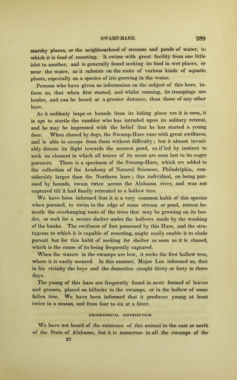 marshy places, or the neighbourhood of streams and ponds of water, to which it is fond of resorting. It swims with great facility from one little islet to another, and is generally found seeking its food in wet places, or near the water, as it subsists on the roots of various kinds of aquatic plants, especially on a species of iris growing in the water. Persons who have given us information on the subject of this hare, in- form us, that when first started, and whilst running, its trampings are louder, and can be heard at a greater distance, than those of any other hare. As it suddenly leaps or bounds from its hiding place ere it is seen, it is apt to startle the rambler who has intruded upon its solitary retreat, and he may be impressed with the belief that he has started a young deer. When chased by dogs, the Swamp-Hare runs with great swiftness, and is able to escape from them without difficulty; but it almost invari- ably directs its flight towards the nearest pond, as if led by instinct to seek an element in which all traces of its scent are soon lost to its eager pursuers. There is a specimen of the Swamp-Hare, which we added to the collection of the Academy of Natural Sciences, Philadelphia, con- siderably larger than the Northern hare ; this individual, on being pur- sued by hounds, swam twice across the Alabama river, and was not captured till it had finally retreated to a hollow tree. We have been informed that it is a very common habit of this species when pursued, to swim to the edge of some stream or pond, retreat be- neath the overhanging roots of the trees that may be growing on its bor- der, or seek for a secure shelter under the hollows made by the washing of the banks. The swiftness of foot possessed by this Hare, and the stra- tagems to which it is capable of resorting, might easily enable it to elude pursuit but for this habit of seeking for shelter as soon as it is chased, which is the cause of its being frequently captured. When the waters in the swamps are low, it seeks the first hollow tree, where it is easily secured. In this manner, Major Lee informed us, that in his vicinity the boys and the domestics caught thirty or forty in three days. The young of this hare are frequently found in nests formed of leaves and grasses, placed on hillocks in the swamps, or in the hollow of some fallen tree. We have been informed that it produces young at least twice in a season, and from four to six at a litter. GEOGRAPHICAL DISTRIBUTION. We have not heard of the existence of this animal to the east or north of the State of Alabama, but it is numerous in all the swamps of the 37