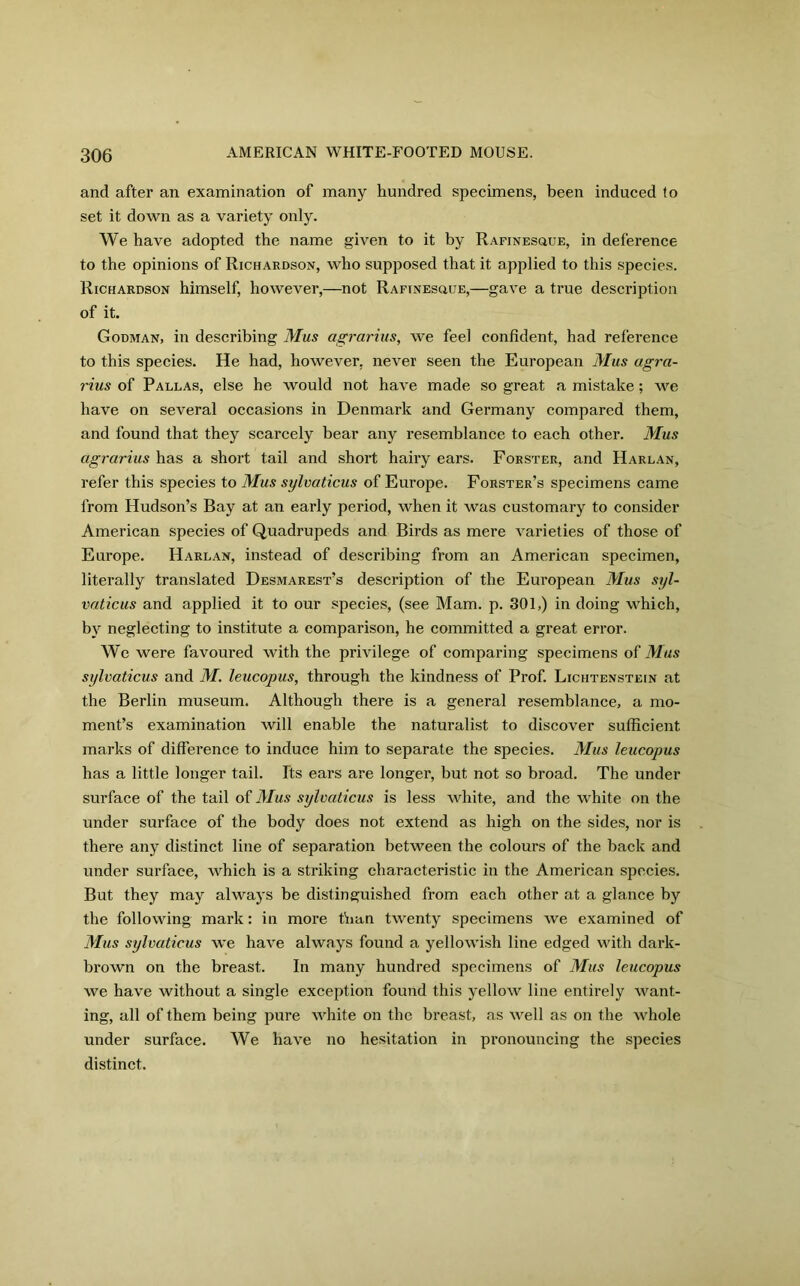 and after an examination of many hundred specimens, been induced to set it down as a variety only. We have adopted the name given to it by Rafinesgiue, in deference to the opinions of Richardson, who supposed that it applied to this species. Richardson himself, however,—not Raftnesuue,—gave a true description of it. Godman, in describing Mus agrarius, we feel confident, had reference to this species. He had, however, never seen the European Mus agra- rius of Pallas, else he would not have made so great a mistake; we have on several occasions in Denmark and Germany compared them, and found that they scarcely bear any resemblance to each other. Mus agrarius has a short tail and short hairy ears. Forster, and Harlan, refer this species to Mus sylvaticus of Europe. Forster’s specimens came from Hudson’s Bay at an early period, when it was customary to consider American species of Quadrupeds and Birds as mere varieties of those of Europe. Harlan, instead of describing from an American specimen, literally translated Desmarest’s description of the European Mus syl- vaticus and applied it to our species, (see Mam. p. 301,) in doing which, by neglecting to institute a comparison, he committed a great error. We were favoured with the privilege of comparing specimens of Mus sylvaticus and M. leucopus, through the kindness of Prof. Lichtenstein at the Berlin museum. Although there is a general resemblance, a mo- ment’s examination will enable the naturalist to discover sufficient marks of difference to induce him to separate the species. Mus leucopus has a little longer tail. Its ears are longer, but not so broad. The under surface of the tail of Mus sylvaticus is less white, and the white on the under surface of the body does not extend as high on the sides, nor is there any distinct line of separation between the colours of the back and under surface, which is a striking characteristic in the American species. But they may always be distinguished from each other at a glance by the following mark: in more than twenty specimens we examined of Mus sylvaticus we have always found a yellowish line edged with dark- brown on the breast. In many hundred specimens of Mus leucopus we have without a single exception found this yellow line entirely want- ing, all of them being pure white on the breast, as well as on the whole under surface. We have no hesitation in pronouncing the species distinct.