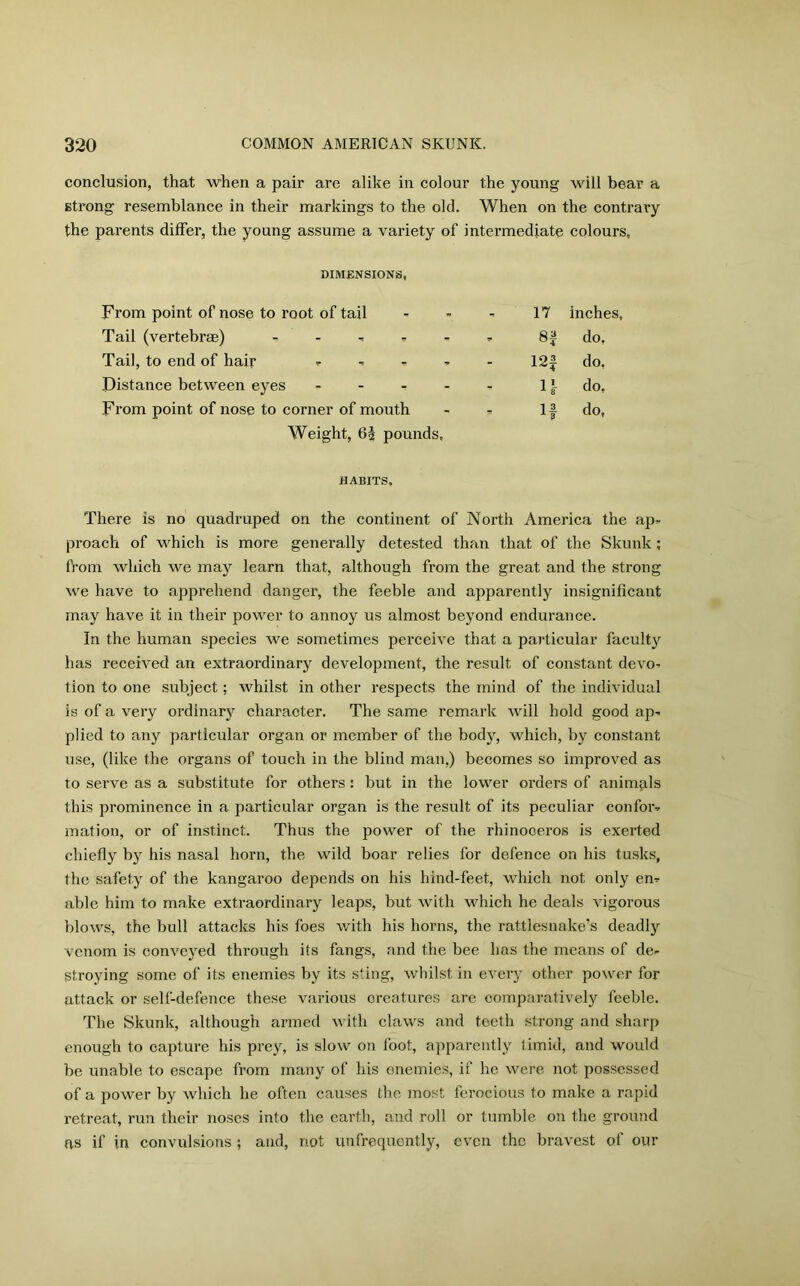conclusion, that when a pair are alike in colour the young will bear a strong resemblance in their markings to the old. When on the contrai’y the parents differ, the young assume a variety of intermediate colours. DIMENSIONS, From point of nose to root of tail Tail (vertebrae) - Tail, to end of hair - Distance between eyes - From point of nose to corner of mouth Weight, 6| pounds. 17 inches, do, 12f do, H do, if do, HABITS. There is no quadruped on the continent of North America the ap- proach of which is more generally detested than that of the Skunk; from which we may learn that, although from the great and the strong we have to apprehend danger, the feeble and apparently insignificant may have it in their power to annoy us almost beyond endurance. In the human species we sometimes perceive that a particular faculty has received an extraordinary development, the result of constant devo- tion to one subject; whilst in other respects the mind of the individual is of a very ordinal character. The same remark will hold good ap- plied to any particular organ or member of the body, which, by constant use, (like the organs of touch in the blind man,) becomes so improved as to serve as a substitute for others: but in the lower orders of animals this prominence in a particular organ is the result of its peculiar confor- mation, or of instinct. Thus the power of the rhinoceros is exerted chiefly by his nasal horn, the wild boar relies for defence on his tusks, the safety of the kangaroo depends on his hind-feet, which not only en- able him to make extraordinary leaps, but with which he deals vigorous blows, the bull attacks his foes with his horns, the rattlesnake’s deadly venom is conveyed through its fangs, and the bee has the means of de- stroying some of its enemies by its sting, whilst in every other power for attack or self-defence these various creatures are comparatively feeble. The Skunk, although armed with claws and teeth strong and sharp enough to capture his prey, is slow on foot, apparently timid, and would be unable to escape from many of his enemies, if he were not possessed of a power by which he often causes the most ferocious to make a rapid retreat, run their noses into the earth, and roll or tumble on the ground as if in convulsions ; and, not unfrequently, even the bravest of our