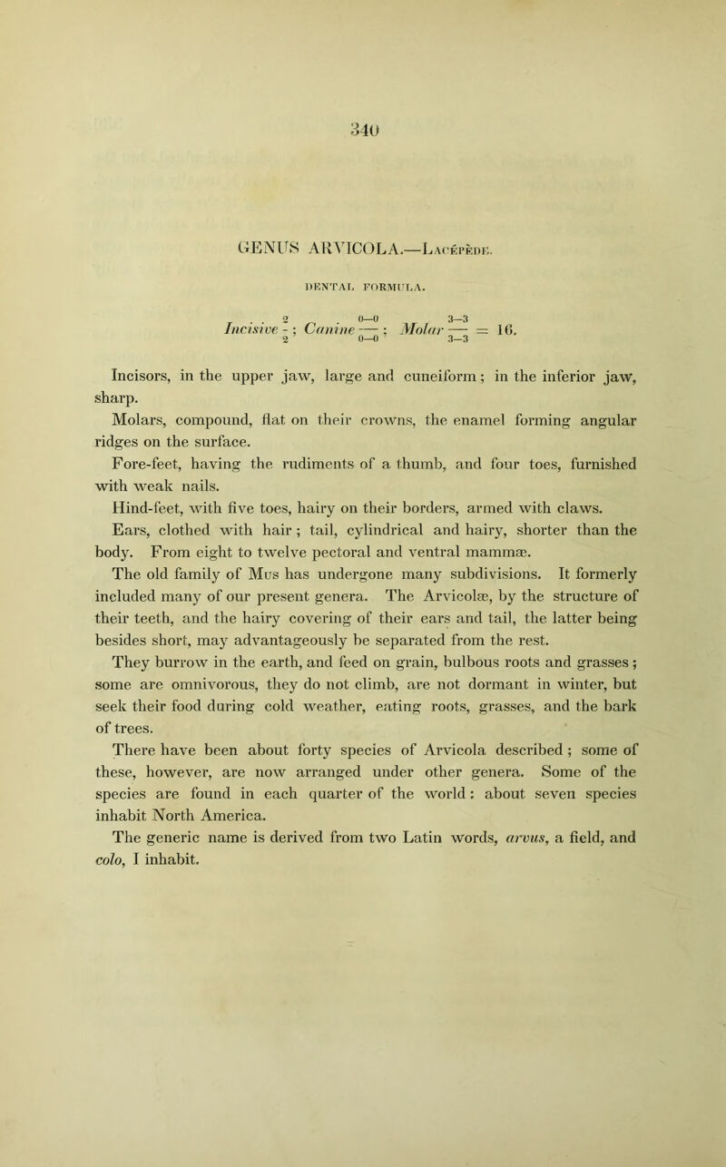 GENUS ARYICOLA.—Lacepede. DENTAL FORMULA. . . 2 . O—0 3—3 Incisive-; Canine—; Molar =16. 2 0—0 3—3 Incisors, in the upper jaw, large and cuneiform; in the inferior jaw, sharp. Molars, compound, flat on their crowns, the enamel forming angular ridges on the surface. Fore-feet, having the rudiments of a thumb, and four toes, furnished with weak nails. Hind-feet, with five toes, hairy on their borders, armed with claws. Eai's, clothed with hair ; tail, cylindrical and hairy, shorter than the body. From eight to twelve pectoral and ventral mammae. The old family of Mus has undergone many subdivisions. It formerly included many of our present genera. The Arvicolm, by the structure of their teeth, and the hairy covering of their ears and tail, the latter being besides short, may advantageously be separated from the rest. They burrow in the earth, and feed on grain, bulbous roots and grasses ; some are omnivorous, they do not climb, are not dormant in winter, but seek their food during cold weather, eating roots, grasses, and the bark of trees. There have been about forty species of Arvicola described ; some of these, however, are now arranged under other genera. Some of the species are found in each quarter of the world: about seven species inhabit North America. The generic name is derived from two Latin words, arvus, a field, and colo, I inhabit.