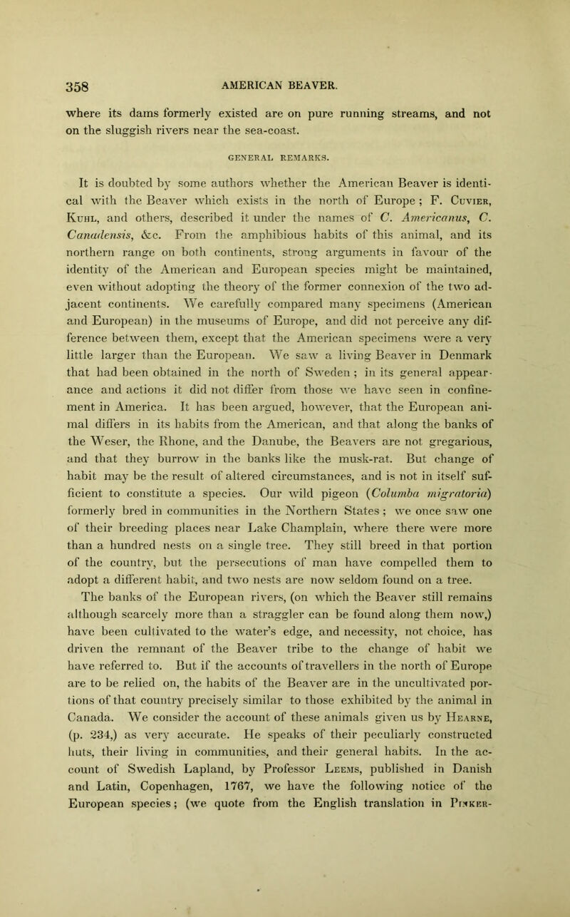 where its dams formerly existed are on pure running streams, and not on the sluggish rivers near the sea-coast. GENERAL REMARKS. It is doubted by some authors whether the American Beaver is identi- cal with the Beaver which exists in the north of Europe ; F. Cuvier, Kuhl, and others, described it under the names of C. Americanus, C. Canadensis, &c. From the amphibious habits of this animal, and its northern range on both continents, strong arguments in favour of the identity of the American and European species might be maintained, even without adopting the theory of the former connexion of the two ad- jacent continents. We carefully compared many specimens (American and European) in the museums of Europe, and did not perceive any dif- ference between them, except that the American specimens were a very little larger than the European. We saw a living Beaver in Denmark that had been obtained in the north of Sweden ; in its general appear- ance and actions it did not differ from those we have seen in confine- ment in America. It has been argued, however, that the European ani- mal differs in its habits from the American, and that along the banks of the Weser, the Khone, and the Danube, the Beavers are not gregarious, and that they burrow in the banks like the musk-rat. But change of habit may be the result of altered circumstances, and is not in itself suf- ficient to constitute a species. Our wild pigeon (Columba migratoria) formerly bred in communities in the Northern States ; we once saw one of their breeding places near Lake Champlain, where there were more than a hundred nests on a single tree. They still breed in that portion of the country, but the persecutions of man have compelled them to adopt a different habit, and two nests are now seldom found on a tree. The banks of the European rivers, (on which the Beaver still remains although scarcely more than a straggler can be found along them now,) have been cultivated to the water’s edge, and necessity, not choice, has driven the remnant of the Beaver tribe to the change of habit we have referred to. But if the accounts of travellers in the north of Europe are to be relied on, the habits of the Beaver are in the uncultivated por- tions of that country precisely similar to those exhibited by the animal in Canada. We consider the account of these animals given us by Hearne, (p. 234,) as very accurate. He speaks of their peculiarly constructed huts, their living in communities, and their general habits. In the ac- count of Swedish Lapland, by Professor Leems, published in Danish and Latin, Copenhagen, 1767, we have the following notice of the European species; (we quote from the English translation in Pinker-