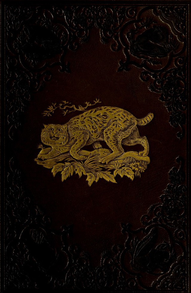 digitised image 1