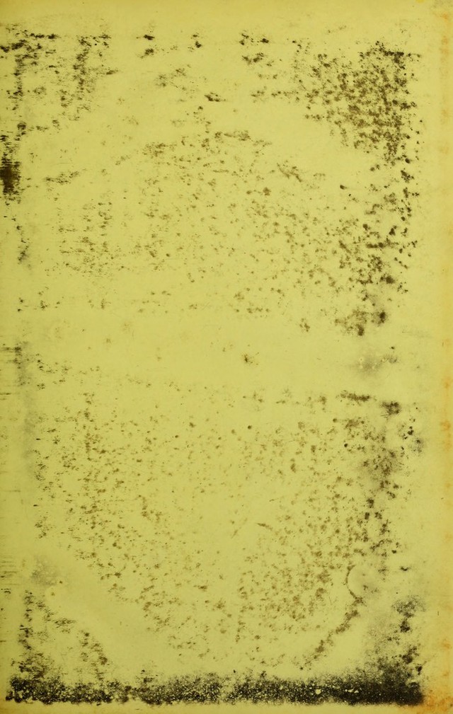 digitised image 3