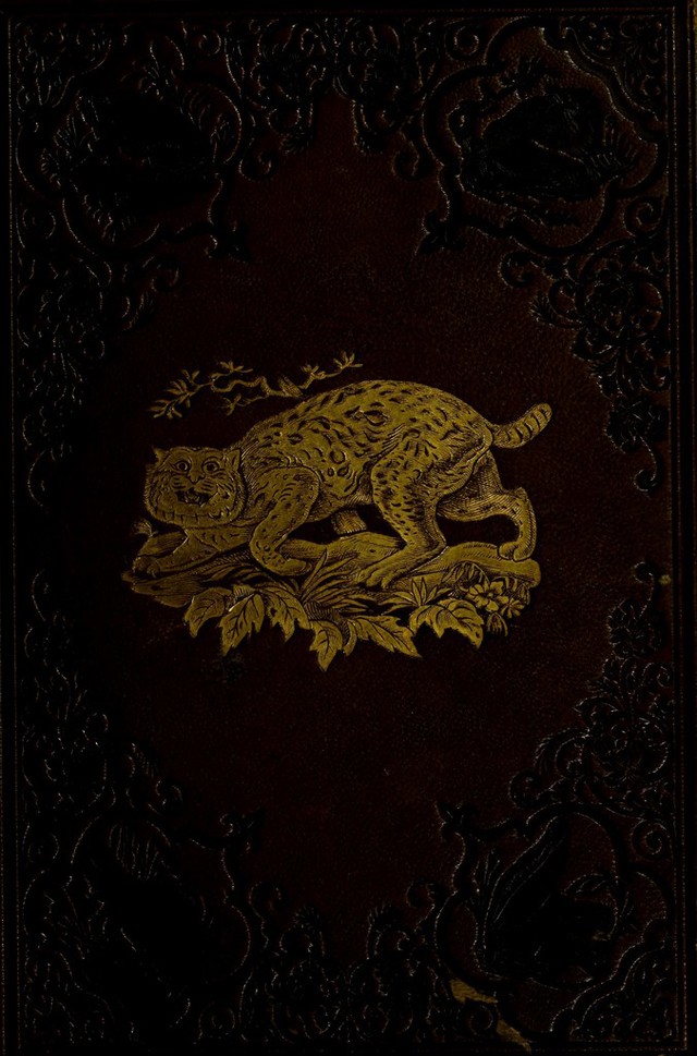 digitised image 1
