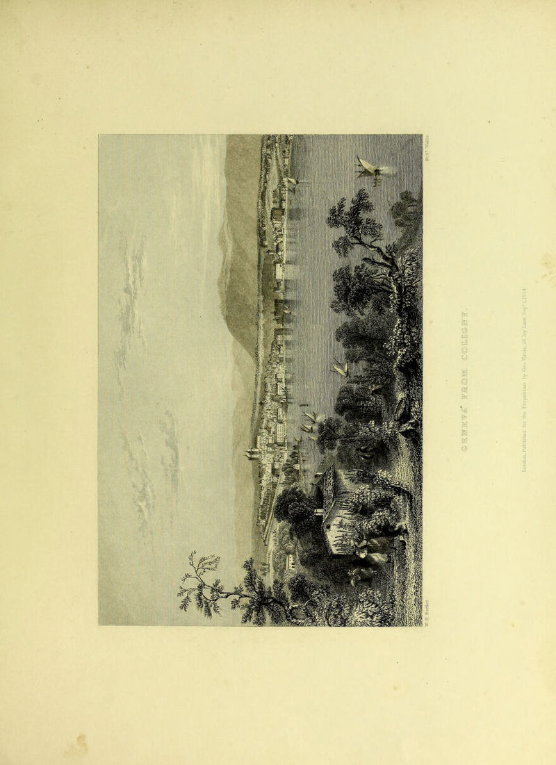 ©jEwrem' fiom c©M©inr