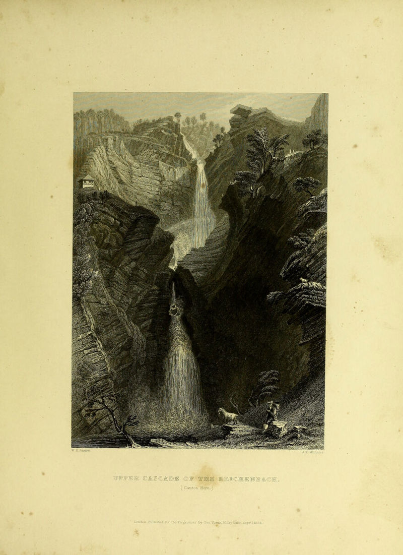 VH, Bartlett J T Willroore- JJPPIElK CASCABIE ©F flS 11K1EIMCI. ( Canton. Bern. ) London Published for the Proprietors by Geo.Virtue, 26,Ivy Lane. Septf 1,1334.•