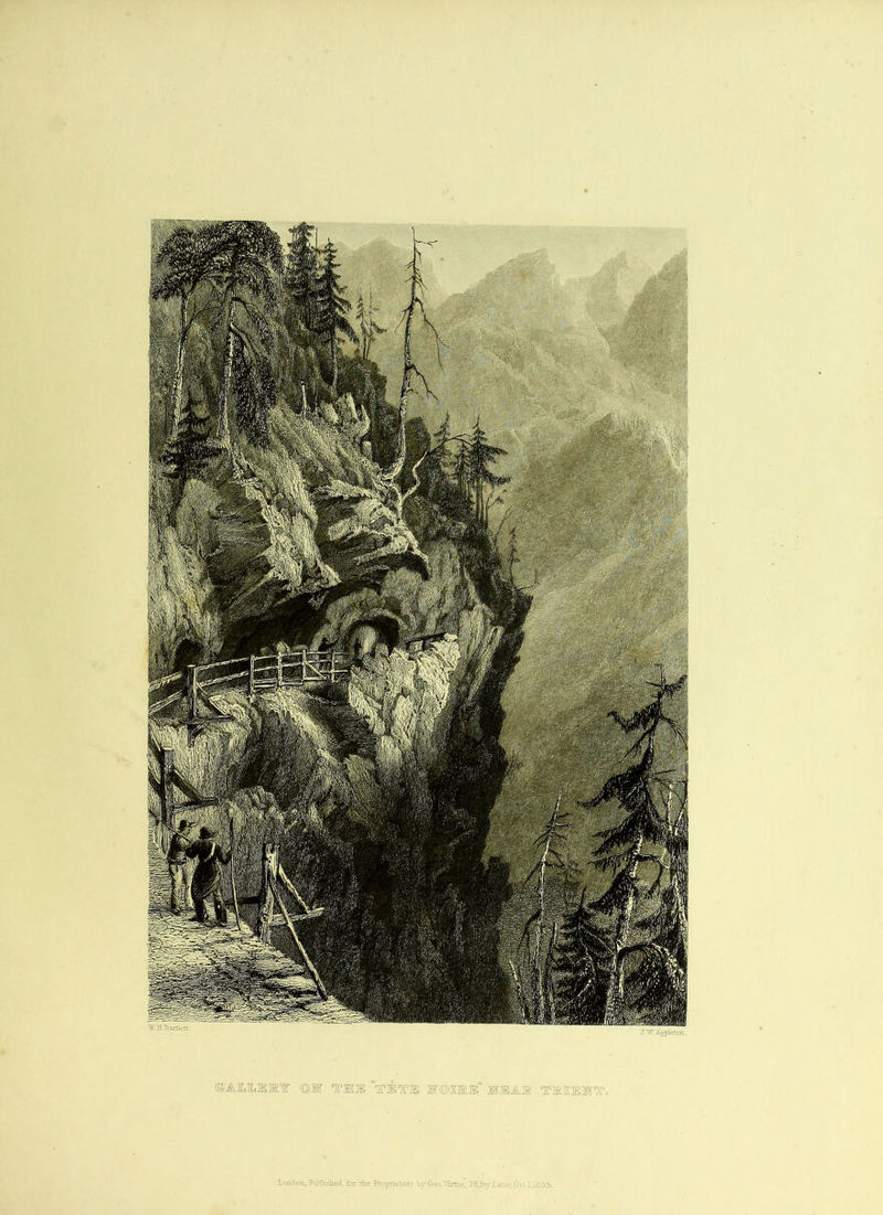 ©AXILEMY ©W TII “T3BT3E JS'CDIMlf SHEA® TM1KMT. lonxlon., Pablishad for the Proprietor? hy Geo .Virtue' 26, Ivy 1.8 H 5.