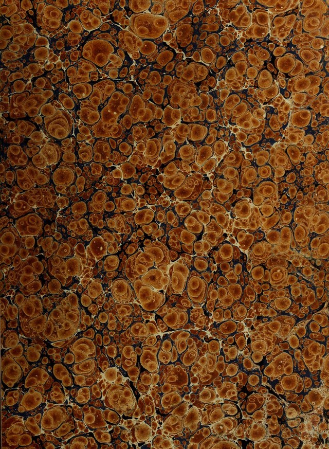 digitised image 3