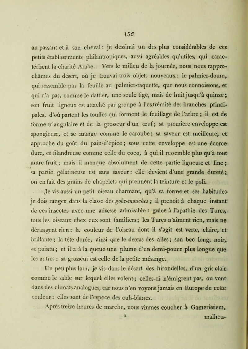 au passant et à son cheval : je dessinai un des plus considérables de ces petits établissements philantropiques, aussi agréables qu’utiles, qui carac- térisent la charité Arabe. Vers le milieu de la journée, nous nous rappro- châmes du désert, où je trouvai trois objets nouveaux: le palmier-doum, qui ressemble par la feuille au palmier-raquette, que nous connoissons, et qui n’a pas, comme le dattier, une seule tige, mais de huit jusqu’à quinze; son fruit ligneux est attaché par groupe à l’extrémité des branches princi- pales, d’où partent les touffes qui forment le feuillage de l’arbre ; il est de forme triangulaire et de la grosseur d’un œuf ; sa première enveloppe est spongieuse, et se mange comme le caroube; sa saveur est meilleure, et approche du goût du pain-d’épice ; sous cette enveloppe est une écorce dure, et filandreuse comme celle du coco, a qui il ressemble plus qu’à tout autre fruit ; mais il manque absolument de cette partie ligneuse et fine ; sa partie gélatineuse est sans saveur: elle devient d’une grande dureté; on en fait des grains de chapelets qui prennent la teinture et le poli. Je vis aussi un petit oiseau charmant, qu’à sa forme et ses habitudes je dois ranger dans la classe des gobe-mouches ; il prenoit à chaque instant de ces insectes avec une adresse admirable : grâce à l’apathie des Turcs, tous les oiseaux chez eux sont familiers; les Turcs n’aiment rien,, mais ne dérangent rien : la couleur de l’oiseau dont il s’agit est verte, claire,, et brillante ; la tête dorée, ainsi que le dessus des ailes ; son bec long,, noir, et pointu ; et il a à la queue une plume d’un demi-pouce plus longue que les autres : sa grosseur est celle de la petite mésange. Un peu plus loin, je vis dans le désert des hirondelles,, d’un gris clair comme le sable sur lequel elles volent ; celles-ci n’émigrent pas, ou vont dans des climats analogues, car nous n’en voyons jamais en Europe de cette couleur : elles sont de l’espece des culs-blancs. Après treize heures de marche, nous vînmes coucher à Gamerissiem, 4 malheu-