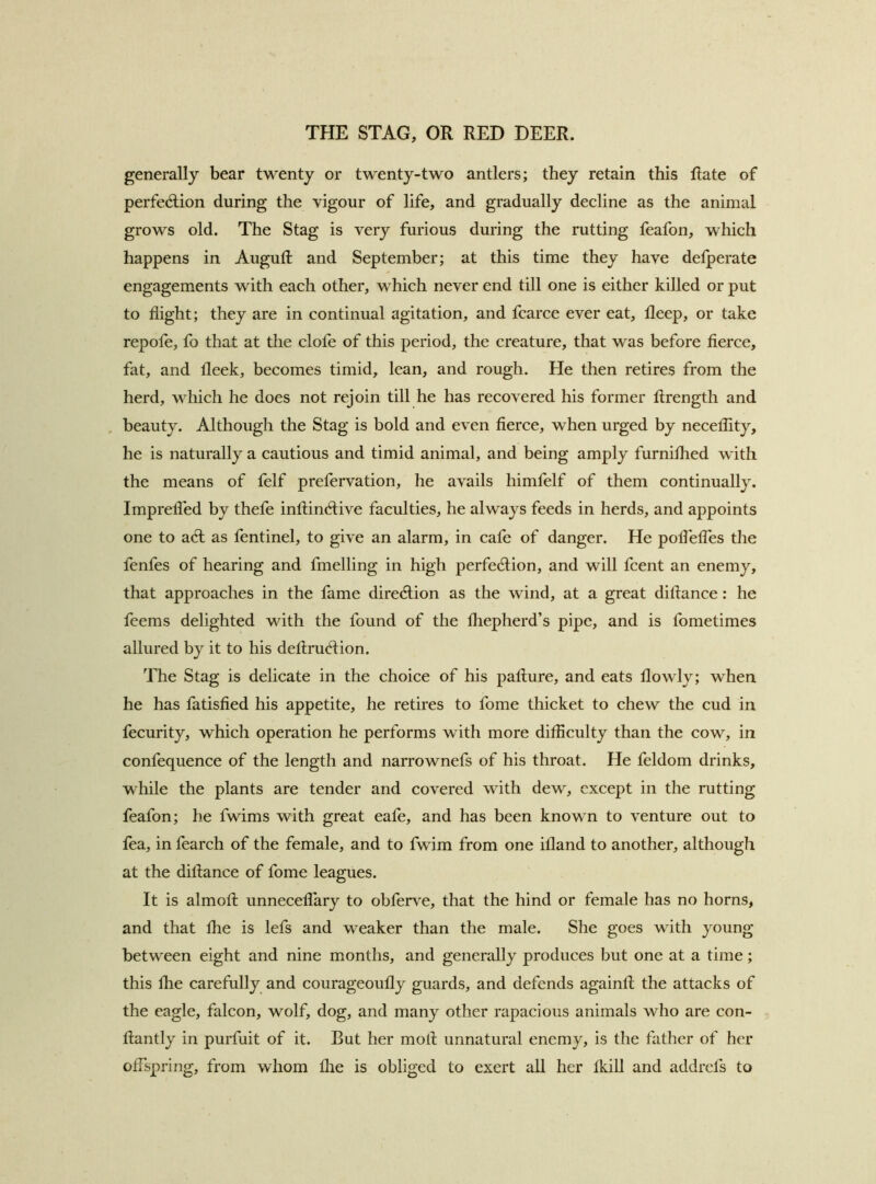 generally bear twenty or twenty-two antlers; they retain this Rate of perfection during the vigour of life, and gradually decline as the animal grows old. The Stag is very furious during the rutting feafon, which happens in Auguft and September; at this time they have delperate engagements with each other, which never end till one is either killed or put to flight; they are in continual agitation, and fcarce ever eat, fleep, or take repofe, fo that at the clofe of this period, the creature, that was before fierce, fat, and fleek, becomes timid, lean, and rough. He then retires from the herd, which he does not rejoin till he has recovered his former flrength and beauty. Although the Stag is bold and even fierce, when urged by neceflity, he is naturally a cautious and timid animal, and being amply furnifiied with the means of felf prefervation, he avails himfelf of them continually. Imprefled by thefe inftindlive faculties, he always feeds in herds, and appoints one to aCl as fentinel, to give an alarm, in cafe of danger. He pofielTes the fenfes of hearing and fmelling in high perfection, and will fcent an enemy, that approaches in the fame direction as the wind, at a great diftance: he feems delighted with the found of the fiiepherd’s pipe, and is fometimes allured by it to his defimCtion. The Stag is delicate in the choice of his pallure, and eats flowly; when he has fatisfied his appetite, he retires to fome thicket to chew the cud in fecurity, which operation he performs with more difficulty than the cow, in confequence of the length and narrownefs of his throat. He feldom drinks, while the plants are tender and covered with dew, except in the rutting feafon; he fwims with great eafe, and has been known to venture out to fea, in fearch of the female, and to fwim from one ifland to another, although at the difiance of fome leagues. It is almoft unnecelTary to obferve, that the hind or female has no horns, and that fhe is lefs and weaker than the male. She goes with young between eight and nine months, and generally produces but one at a time; this fhe carefully and courageoufly guards, and defends againfi the attacks of the eagle, falcon, wolf, dog, and many other rapacious animals who are con- fiantly in purfuit of it. But her mofi unnatural enemy, is the father of her offspring, from whom file is obliged to exert all her fkill and addrefs to