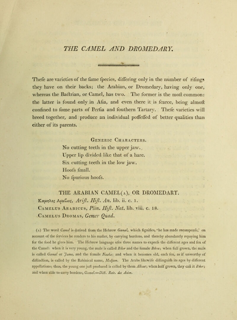 THE CAMEL AND DROMEDARY. Thefe are varieties of the fame Ipecies, differing only in the number of rifings they have on their backs; the Arabian, or Dromedary, having only one, whereas the Badlrian, or Camel, has two. The former is the moll common: the latter is found only in Alia, and even there it is fcarce, being almofl confined to fome parts of Perfia and fouthern Tartary, Thefe varieties will breed together, and produce an individual polfefled of better qualities than either of its parents. Generic Characters. No cutting teeth in the upper jaw.. Upper lip divided like that of a hare. Six cutting teeth in the low jaw. Hoofs fmall. No fpurious hoofs. THE ARABIAN CAMEL(a), OR DROMEDARY. KcK[ji.7iXog Aooc^iog, Avijl. Hijl. An. lib. ii. c. 1. Camelus Arabicus, PLin. HiJl. Nat. lib. viii. c. 18. Camelus Dromas, Gemer Quad. (a) The word Camel is derived from the Hebrew Gamal, which lignifies, ‘he has made recompenfe,' oti account of the fervices he renders to his mailer, by carrying burdens, and thereby abundantly repaying him for the food he gives him. The Hebrew language ufes three names to exprefs the different ages and fex of the Camel: when it is very young, the male is called Biker and the female Bikra-, when full grown, the male is called Gamal or Jama, and the female Naaka: and when it becomes old, each fex, as if unworthy of diftinftion, is called by the Rabinical name, Mcdjam. The Arabs likewife diftinguifli its ages by different appellations; thus, the young one juft produced is called by them Alkauf, when half grown, they call it Biker; and when able to carry burdens, Gamal.—Di&. Rais, des Anim.