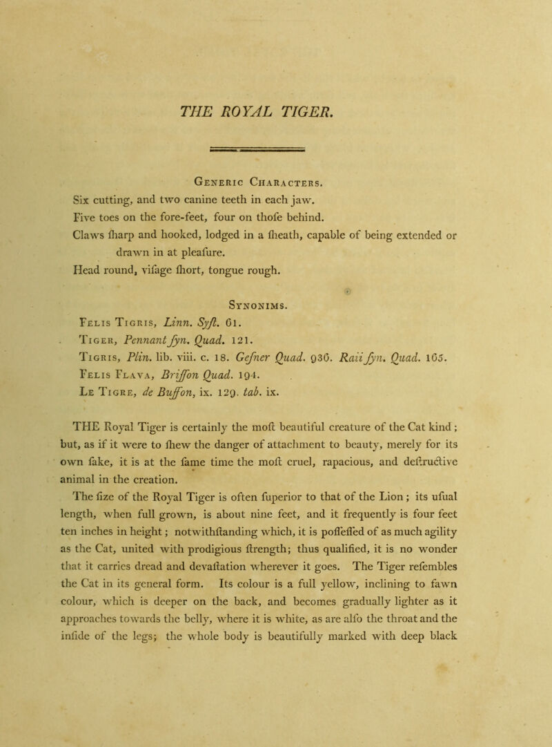 THE ROYAL TIGER. Generic Characters. Six cutting, and two canine teeth in each jaw. Five toes on the fore-feet, four on thofe behind. Claws fliarp and hooked, lodged in a flieath, capable of being extended or drawn in at pleafure. Head round, vifage Ihort, tongue rough. Synonims. Felis Tigris, Linn. Syft. Ol. Tiger, Pennantfyn. Quad. 121. Tigris, Plin. lib. viii. c. 18. Gefner Quad. 930. Raiifyn. Quad. l05. Felis Flava, Brijfon Quad. 194. Le Tigre, de Bujfon, ix. 129. tab. ix. TFIE Royal Tiger is certainly the moR beautiful creature of the Cat kind ; but, as if it were to ihew the danger of attachment to beauty, merely for its own fake, it is at the fame time the mofi; cruel, rapacious, and deRruclive animal in the creation. The fize of the Royal Tiger is often fuperior to that of the Lion ; its ufual length, when full grown, is about nine feet, and it frequently is four feet ten inches in height; notwithftanding which, it is polTelled of as much agility as the Cat, united with prodigious Rrength; thus qualified, it is no wonder that it carries dread and devaliation wherever it goes. The Tiger refembles the Cat in its general form. Its colour is a full yellow, inclining to fawn colour, which is deeper on the back, and becomes gradually lighter as it approaches towards the belly, where it is white, as are alfo the throat and the infide of the legs; the whole body is beautifully marked with deep black