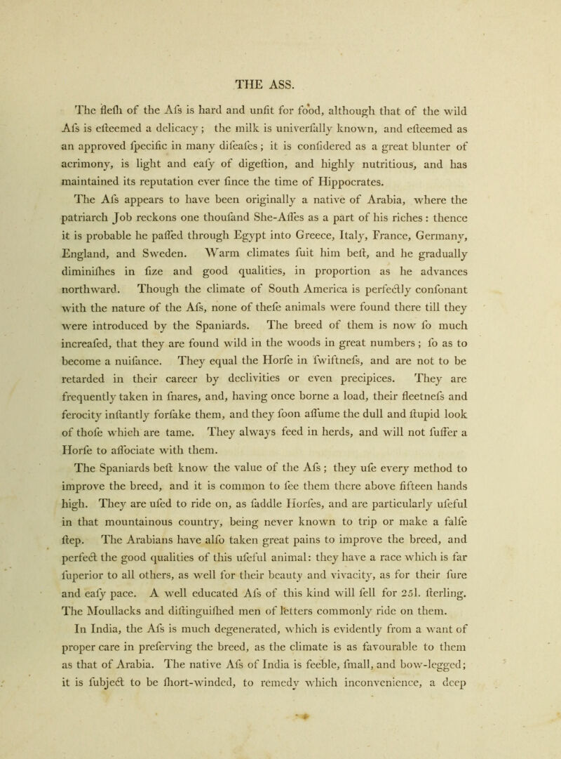 The flefli of the Afs is hard and unfit for food, although that of the wild Afs is elleemed a delicacy ; the milk is univerfally known, and efleemed as an approved fpecific in many difeafes; it is confidered as a great blunter of acrimony, is light and eafy of digeftion, and highly nutritious, and has maintained its reputation ever fince the time of Hippocrates. The Afs appears to have been originally a native of Arabia, where the patriarch Job reckons one thoufand She-Afles as a part of his riches: thence it is probable he palled through Egypt into Greece, Italy, France, Germany, England, and Sweden. Warm climates fuit him bell, and he gradually diminillies in lize and good qualities, in proportion as he advances northward. Though the climate of South America is perfe6l]y confonant with the nature of the Afs, none of thefe animals were found there till they were introduced by the Spaniards. The breed of them is now fo much increafed, that they are found wild in the woods in great numbers; fo as to become a nuifance. They equal the Horfe in fwiftnefs, and are not to be retarded in their career by declivities or even precipices. They are frequently taken in fnares, and, having once borne a load, their fleetnefs and ferocity inllantly forfake them, and they foon allume the dull and dupid look of thofe which are tame. They always feed in herds, and will not fuffer a Horfe to adbciate with them. The Spaniards belt know the value of the Afs; they ufe every method to improve the breed, and it is common to fee them there above fifteen hands high. They are ufed to ride on, as faddle Horfes, and are particularly ufeful in that mountainous country, being never known to trip or make a falfe Hep. The Arabians have alfo taken great pains to improve the breed, and perfect the good qualities of this ufeful animal: they have a race which is far fuperior to all others, as well for their beauty and vivacity, as for their fure and ealy pace. A well educated Afs of this kind will fell for 25l. llerling. The IMoullacks and diftinguifiied men of letters commonly ride on them. In India, the Afs is much degenerated, which is evidently from a want of proper care in preferving the breed, as the climate is as favourable to them as that of Arabia. The native Afs of India is feeble, fmall, and bow-legged; it is fubjebt to be lliort-winded, to remedy which inconvenience, a deep