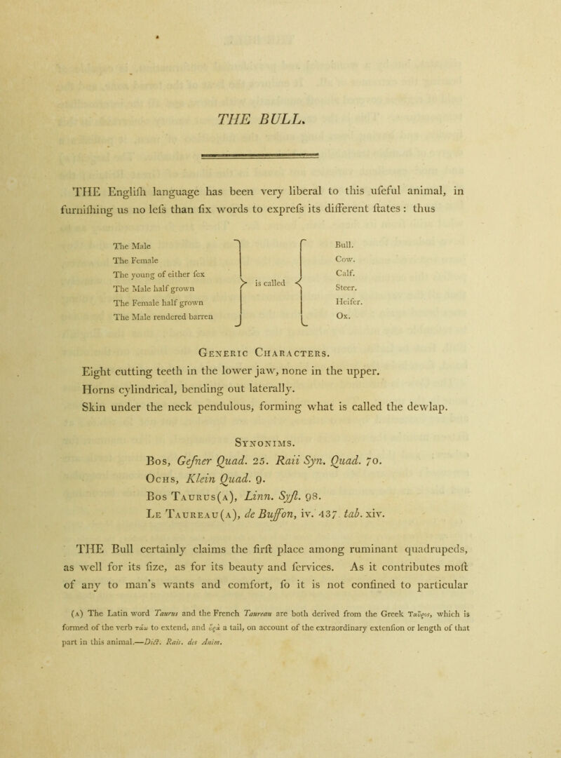 THE BULL. THE Englifli language has been very liberal to this ufeful animal, in furnilliing us no lefs than lix words to exprefs its different flates : thus Tlie Male The Female The young of either fex The Male half grown The Female half grown The Male rendered barren is called Bull. Cow, Calf. Steer, Heifer. Ox. Generic Characters. Eight cutting teeth in the lower jaw, none in the upper. Horns cylindrical, bending out laterally. Skin under the neck pendulous, forming what is called the dewlap. Synonims. Bos, Gefner Qiiad. 25. Rail Syn. Quad. 70. Ochs, Klein Quad. 9. Bos Taurus(a), Linn. Syjl. 98. Le Taureau(a), de Buff on, iv. 43/. tab. xiv. THE Bull certainly claims the firft place among ruminant quadrupeds, as well for its tize, as for its beauty and fcrvices. As it contributes moft of any to man’s wants and comfort, fo it is not confined to particular (a) The Latin word Taurus and the French Taurean are both derived from the Greek TaX/gos, which is formed of the verb raoi to extend, and a tail, on account of the extraordinary extenlion or length of that part in this animal.—DiSl. Rais, des Anim,