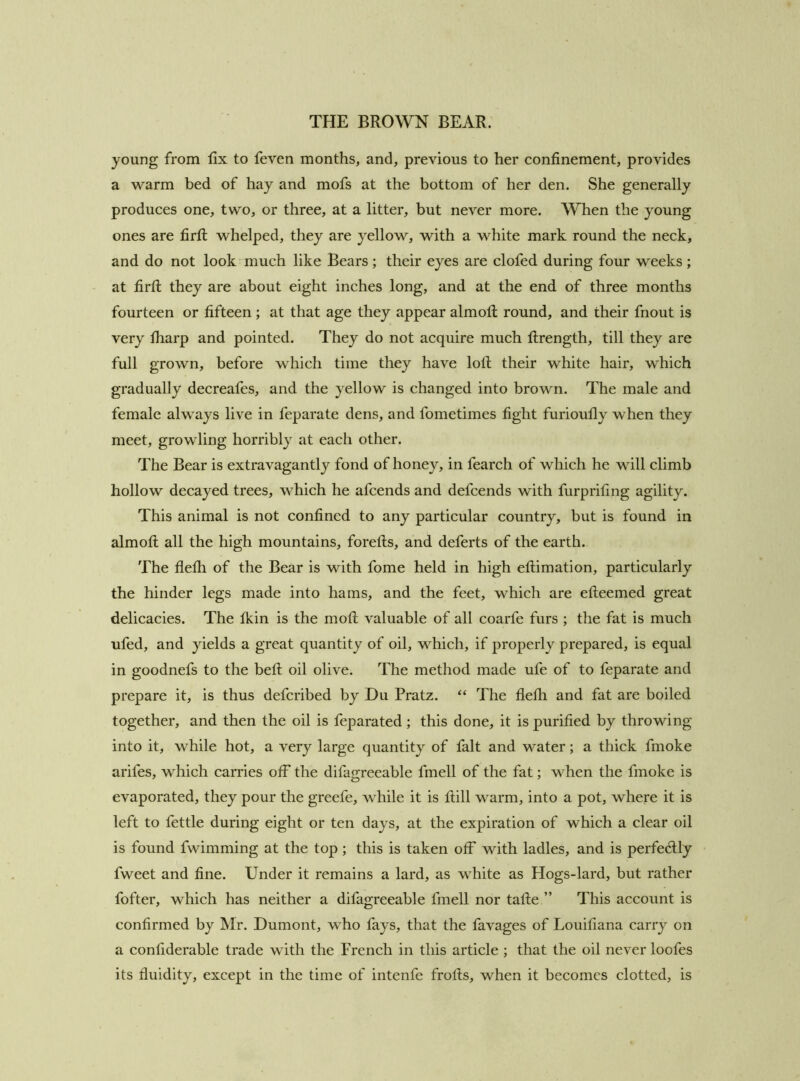 young from lix to feven months, and, previous to her confinement, provides a warm bed of hay and mofs at the bottom of her den. She generally produces one, two, or three, at a litter, but never more. When the young ones are firfi; whelped, they are yellow, with a white mark round the neck, and do not lookmiuch like Bears ; their eyes are clofed during four weeks ; at firfi they are about eight inches long, and at the end of three months fourteen or fifteen ; at that age they appear almofl round, and their fnout is very fharp and pointed. They do not acquire much flrength, till they are full grown, before which time they have loll their white hair, which gradually decreafes, and the yellow is changed into brown. The male and female always live in feparate dens, and fometimes fight furioufly when they meet, growling horribly at each other. The Bear is extravagantly fond of honey, in fearch of which he will climb hollow decayed trees, which he afcends and defcends with furprifing agility. This animal is not confined to any particular country, but is found in almofl all the high mountains, forells, and deferts of the earth. The flefli of the Bear is with fome held in high ellimation, particularly the hinder legs made into hams, and the feet, which are elleemed great delicacies. The fkin is the moll valuable of all coarfe furs ; the fat is much ufed, and yields a great quantity of oil, which, if properly prepared, is equal in goodnefs to the bell oil olive. The method made ufe of to feparate and prepare it, is thus defcribed by Du Pratz. ‘‘ The flelh and fat are boiled together, and then the oil is feparated ; this done, it is purified by throwing into it, while hot, a very large quantity of fait and water; a thick fmoke arifes, which carries off the difagreeable fmell of the fat; when the fmoke is evaporated, they pour the greefe, while it is Hill warm, into a pot, where it is left to fettle during eight or ten days, at the expiration of which a clear oil is found fwimming at the top; this is taken off with ladles, and is perfectly fweet and fine. Under it remains a lard, as white as Hogs-lard, but rather fofter, which has neither a difagreeable fmell nor talle ” This account is confirmed by Mr. Dumont, who fays, that the favages of Louifiana carry on a confiderable trade with the French in this article ; that the oil never loofes its fluidity, except in the time of intenfe frolls, when it becomes clotted, is