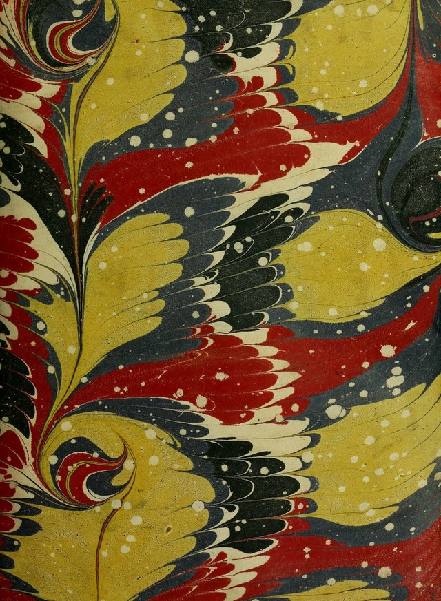 No text description is available for this image