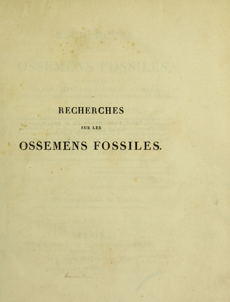 SUR LES OSSEMENS FOSSILES.