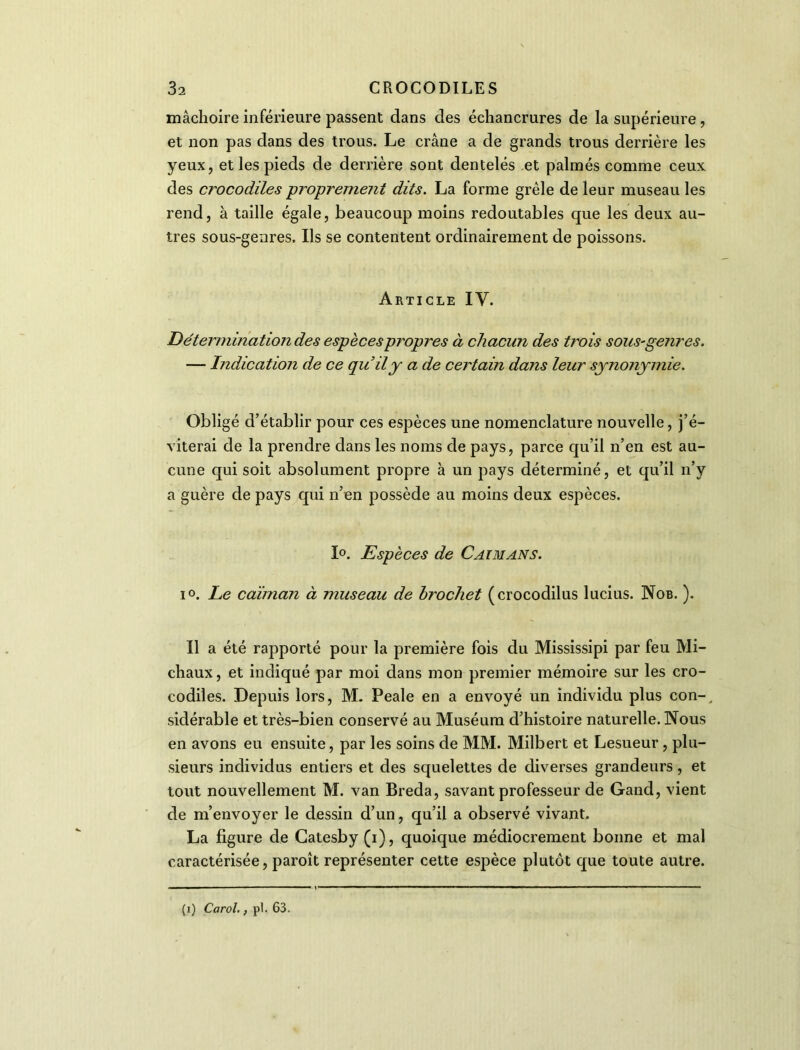 mâchoire inférieure passent dans des échancrures de la supérieure , et non pas dans des trous. Le crâne a de grands trous derrière les yeux, et les pieds de derrière sont dentelés et palmés comme ceux des crocodiles proprement dits. La forme grêle de leur museau les rend, à taille égale, beaucoup moins redoutables que les deux au- tres sous-genres. Ils se contentent ordinairement de poissons. Article IV. Détermination des espèces propres à chacun des trois sous-genres. — Indication de ce quily a de certain dans leur synonymie. Obligé d’établir pour ces espèces une nomenclature nouvelle, j’é- viterai de la prendre dans les noms de pays, parce qu’il n’en est au- cune qui soit absolument propre à un pays déterminé, et qu’il n’y a guère de pays qui n’en possède au moins deux espèces. 1°. Espèces de Caïmans. i°. Le caïman à museau de brochet (crocodilus lucius. Nob. ). Il a été rapporté pour la première fois du Mississipi par feu Mi- chaux, et indiqué par moi dans mon premier mémoire sur les cro- codiles. Depuis lors, M. Peale en a envoyé un individu plus con-, sidérable et très-bien conservé au Muséum d’histoire naturelle. Nous en avons eu ensuite, par les soins de MM. Milbert et Lesueur, plu- sieurs individus entiers et des squelettes de diverses grandeurs, et tout nouvellement M. van Breda, savant professeur de Gand, vient de m’envoyer le dessin d’un, qu’il a observé vivant. La figure de Gatesby (i), quoique médiocrement bonne et mal caractérisée, paroît représenter cette espèce plutôt que toute autre. (i) Carol., pl. 63.