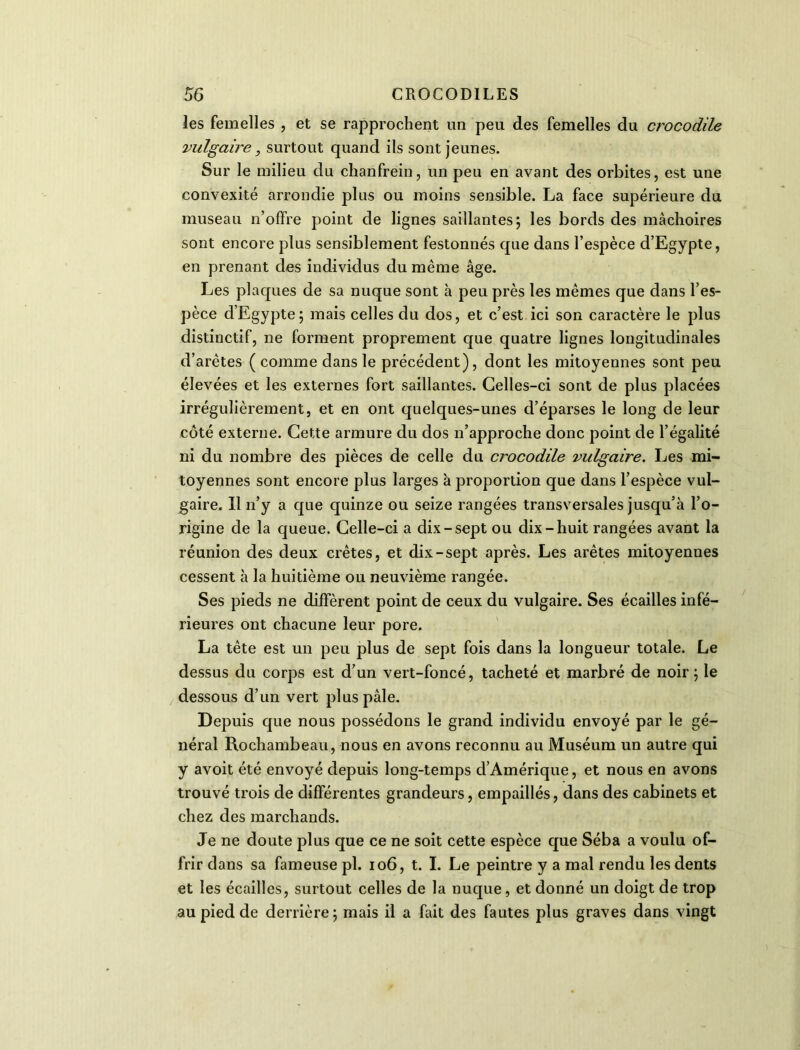 les femelles , et se rapprochent un peu des femelles du crocodile vulgaire , surtout quand ils sont jeunes. Sur le milieu du chanfrein, un peu en avant des orbites, est une convexité arrondie plus ou moins sensible. La face supérieure du museau n’offre point de lignes saillantes; les bords des mâchoires sont encore plus sensiblement festonnés que dans l’espèce d’Egypte, en prenant des individus du même âge. Les plaques de sa nuque sont à peu près les mêmes que dans l’es- pèce d’Egypte; mais celles du dos, et c’est ici son caractère le plus distinctif, ne forment proprement que quatre lignes longitudinales d’arêtes ( comme dans le précédent), dont les mitoyennes sont peu élevées et les externes fort saillantes. Celles-ci sont de plus placées irrégulièrement, et en ont quelques-unes d’éparses le long de leur côté externe. Cette armure du dos n’approche donc point de l’égalité ni du nombre des pièces de celle du crocodile vulgaire. Les mi- toyennes sont encore plus larges à proportion que dans l’espèce vul- gaire. Il n’y a que quinze ou seize rangées transversales jusqu’à l’o- rigine de la queue. Celle-ci a dix-sept ou dix-huit rangées avant la réunion des deux crêtes, et dix-sept après. Les arêtes mitoyennes cessent à la huitième ou neuvième rangée. Ses pieds ne diffèrent point de ceux du vulgaire. Ses écailles infé- rieures ont chacune leur pore. La tête est un peu plus de sept fois dans la longueur totale. Le dessus du corps est d’un vert-foncé, tacheté et marbré de noir; le dessous d’un vert plus pâle. Depuis que nous possédons le grand individu envoyé par le gé- néral Rochambeau, nous en avons reconnu au Muséum un autre qui y avoit été envoyé depuis long-temps d’Amérique, et nous en avons trouvé trois de différentes grandeurs, empaillés, dans des cabinets et chez des marchands. Je ne doute plus que ce ne soit cette espèce que Séba a voulu of- frir dans sa fameuse pl. 106, t. I. Le peintre y a mal rendu les dents et les écailles, surtout celles de la nuque, et donné un doigt de trop au pied de derrière; mais il a fait des fautes plus graves dans vingt