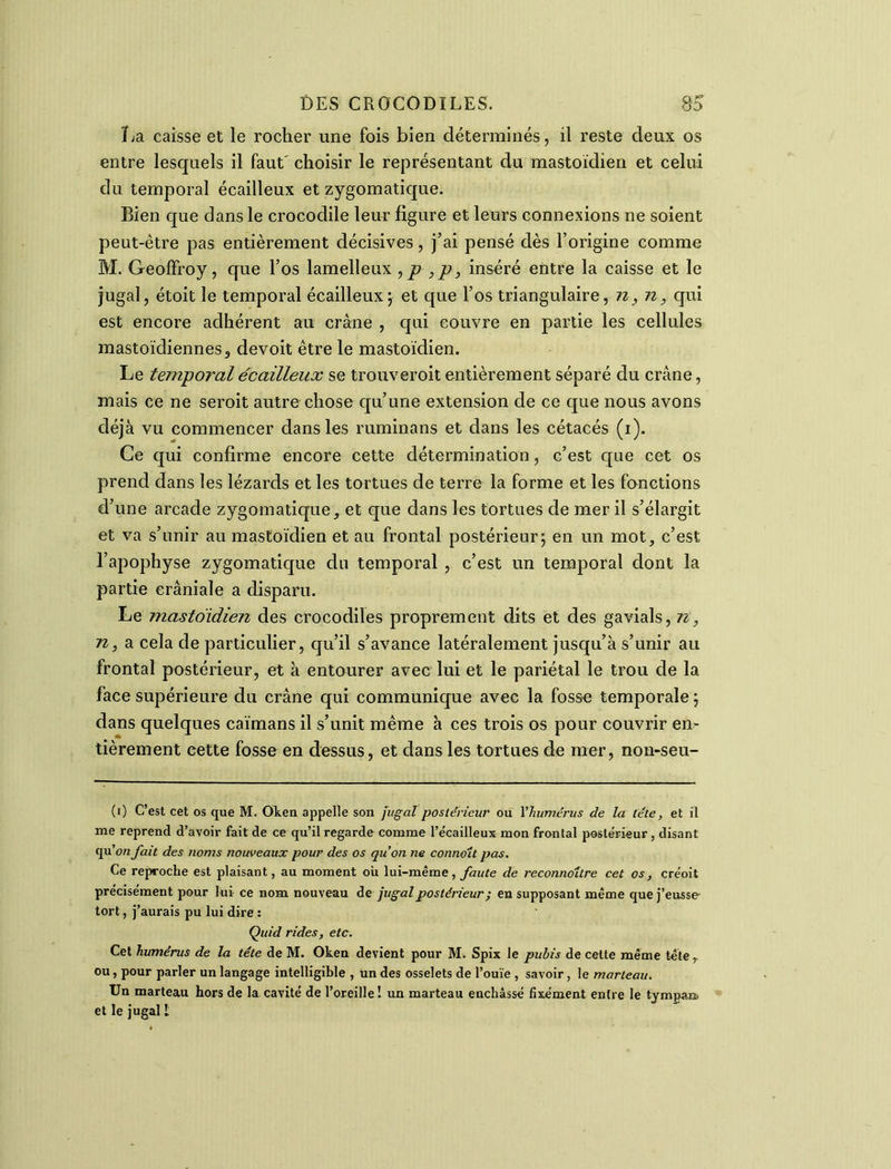 La caisse et le rocher une fois bien déterminés, il reste deux os entre lesquels il faut' choisir le représentant du mastoïdien et celui du temporal écailleux et zygomatique. Bien que dans le crocodile leur figure et leurs connexions ne soient peut-être pas entièrement décisives, j’ai pensé dès l’origine comme M. Geoffroy, que l’os lamelleux ,p ,p, inséré entre la caisse et le jugal, étoit le temporal écailleux; et que l’os triangulaire, n, n, qui est encore adhérent au crâne , qui couvre en partie les cellules mastoïdiennes, devoit être le mastoïdien. Le temporal écailleux se trouveroit entièrement séparé du crâne, mais ce ne seroit autre chose qu’une extension de ce que nous avons déjà vu commencer dans les ruminans et dans les cétacés (i). Ce qui confirme encore cette détermination, c’est que cet os prend dans les lézards et les tortues de terre la forme et les fonctions d’une arcade zygomatique, et que dans les tortues de mer il s’élargit et va s’unir au mastoïdien et au frontal postérieur; en un mot, c’est l’apophyse zygomatique du temporal , c’est un temporal dont la partie crâniale a disparu. Le mastoïdien des crocodiles proprement dits et des gavials, n, n, a cela de particulier, qu’il s’avance latéralement jusqu’à s’unir au frontal postérieur, et à entourer avec lui et le pariétal le trou de la face supérieure du crâne qui communique avec la fosse temporale ; dans quelques caïmans il s’unit même à ces trois os pour couvrir en- tièrement eette fosse en dessus, et dans les tortues de mer, non-seu- (i) C’est cet os que M. Okeu appelle son jugal postérieur ou l’humérus de la tête, et il me reprend d’avoir fait de ce qu’il regarde comme l’écailleux mon frontal postérieur , disant qu’on fait des noms nouveaux pour des os qu’on ne connoit pas. Ce reproche est plaisant, au moment où lui-même, faute de reconnaître cet os, créoit précisément pour lui ce nom nouveau de jugal postérieur ; en supposant même que j’eusse tort, j’aurais pu lui dire : Çuid rides, etc. Cet humérus de la tête de M. Oken devient pour M. Spix le pubis de celte même tête r ou, pour parler un langage intelligible , un des osselets de l’ouïe , savoir, le marteau. Un marteau hors de la cavité de l’oreille I un marteau enchâssé fixément entre le tympan et le jugal 1