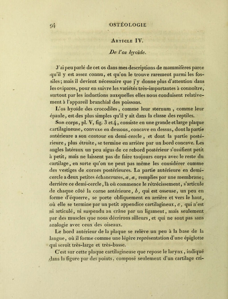 Article IV. De Vos hyoïde. J’ai peu parlé de cet os dans mes descriptions de mammifères parce qu’il y est assez connu, et qu’on le trouve rarement parmi les fos- siles; mais il devient nécessaire que j’y donne plus d’attention dans les ovipares, pour en suivre les variétés très-importantes à connoître, surtout par les inductions auxquelles elles nous conduisent relative- ment à l’appareil branchial des poissons. L’os hyoïde des crocodiles , comme leur sternum , comme leur épaule, est des plus simples qu’il y ait dans la classe des reptiles. Son corps, pl. V, fig. 3 et 4? consiste en une grande et large plaque cartilagineuse, convexe en dessous, concave en dessus, dont la partie antérieure a son contour en demi-cercle , et dont la partie posté- rieure , plus étroite, se termine en arrière par un bord concave. Les angles latéraux un peu aigus de ce rebord postérieur s’ossifient petit à petit, mais ne laissent pas de faire toujours corps avec le reste du cartilage, en sorte qu’on ne peut pas même les considérer comme des vestiges de cornes postérieures. La partie antérieure en demi- cercle a deux petites échancrures, a, a, remplies par une membrane ; derrière ce demi-cercle,là où commence le rétrécissement, s’articule de chaque côté la corne antérieure, b, qui est osseuse, un peu en forme d’équerre, se porte obliquement en arrière et vers le haut, où elle se termine par un petit appendice cartilagineux, c, qui n’est ni articulé, ni suspendu au crâne par un ligament, mais seulement par des muscles que nous décrirons ailleurs, et qui ne sont pas sans analogie avec ceux des oiseaux. Le bord antérieur de la plaque se relève un peu à la base de la langue, où il forme comme une légère représentation d’une épiglotte qui seroit très-large et très-basse. C’est sur cette plaque cartilagineuse que repose le larynx , indiqué dans la figure par des points, composé seulement d’un cartilage cri-