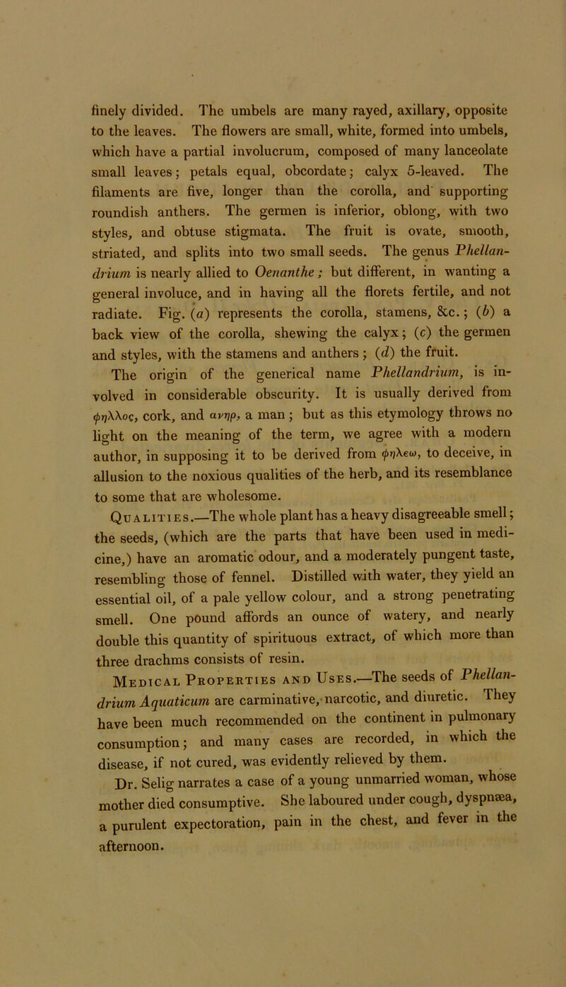 finely divided. The umbels are many rayed, axillary, opposite to the leaves. The flowers are small, white, formed into umbels, which have a partial involucrum, composed of many lanceolate small leaves; petals equal, obcordate; calyx 6-leaved. The filaments are five, longer than the corolla, and supporting roundish anthers. The germen is inferior, oblong, with two styles, and obtuse stigmata. The fruit is ovate, smooth, striated, and splits into two small seeds. The genus Phellan- drium is nearly allied to Oenanthe ; but different, in wanting a general involuce, and in having all the florets fertile, and not radiate. Fig. (a) represents the corolla, stamens, &c.; (b) a back view of the corolla, shewing the calyx; (c) the germen and styles, with the stamens and anthers; {d) the fruit. The origin of the generical name Phellandrium, is in- volved in considerable obscurity. It is usually derived from frjWog, cork, and avrjp, a man ; but as this etymology throws no light on the meaning of the term, we agree with a modern author, in supposing it to be derived from to deceive, in allusion to the noxious qualities of the herb, and its resemblance to some that are wholesome. Qualities .—The whole plant has a heavy disagreeable smell; the seeds, (which are the parts that have been used in medi- cine,) have an aromatic odour, and a moderately pungent taste, resembling those of fennel. Distilled with water, they yield an essential oil, of a pale yellow colour, and a strong penetrating smell. One pound affords an ounce of watery, and nearly double this quantity of spirituous extract, of which more than three drachms consists of resin. Medical Properties and Uses.—^The seeds of Phellan- drium Aquatkum are carminative,-narcotic, and diuretic. They have been much recommended on the continent in pulmonary consumption; and many cases are recorded, in which the disease, if not cured, was evidently relieved by them. Dr. Selig narrates a case of a young unmarried woman, whose mother died consumptive. She laboured under cough, dyspnsea, a purulent expectoration, pain in the chest, and fever m the afternoon.