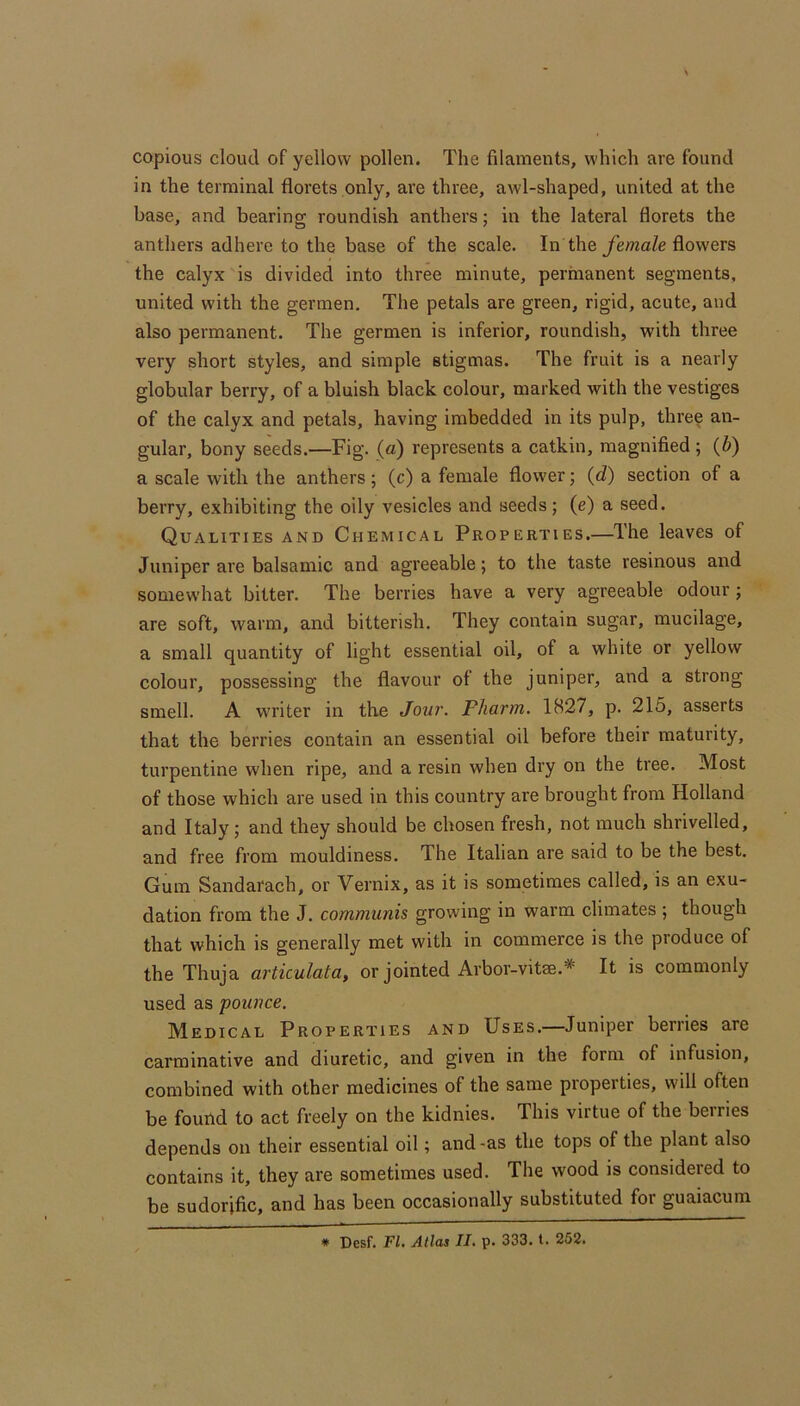 copious cloud of yellow pollen. The filaments, which are found in the terminal florets only, are three, awl-shaped, united at the base, and bearing roundish anthers; in the lateral florets the anthers adhere to the base of the scale. In the yemaZe flowers the calyx is divided into three minute, permanent segments, united with the germen. The petals are green, rigid, acute, and also permanent. The germen is inferior, roundish, with three very short styles, and simple stigmas. The fruit is a nearly globular berry, of a bluish black colour, marked with the vestiges of the calyx and petals, having imbedded in its pulp, three an- gular, bony seeds.—Fig. (a) represents a catkin, magnified ; (Z>) a scale with the anthers; (c) a female flower; (d) section of a berry, exhibiting the oily vesicles and seeds; (e) a seed. Qualities and Chemical Properties.—The leaves of Juniper are balsamic and agreeable; to the taste resinous and somewhat bitter. The berries have a very agreeable odour; are soft, warm, and bitterish. They contain sugar, mucilage, a small quantity of light essential oil, of a white or yellow colour, possessing the flavour of the juniper, and a strong smell. A writer in the Jour. Fharm. 1827, p. 215, asserts that the berries contain an essential oil before their maturity, turpentine when ripe, and a resin when dry on the tree. Most of those which are used in this country are brought from Holland and Italy; and they should be chosen fresh, not much shrivelled, and free from mouldiness. The Italian are said to be the best. Gum Sandarach, or Vernix, as it is sometimes called, is an exu- dation from the J. communis growing in warm climates ; though that which is generally met with in commerce is the produce of the Thuja articulata, or jointed Arbor-vitae.* It is commonly used as pounce. Medical Properties and Uses.—Juniper berries are carminative and diuretic, and given in the form of infusion, combined with other medicines of the same propeities, will often be found to act freely on the kidnies. This virtue of the berries depends on their essential oil; and-as the tops of the plant also contains it, they are sometimes used. The wood is considered to be sudorific, and has been occasionally substituted for guaiacum * Desf. FI. Atlas II. p. 333. t. 252.