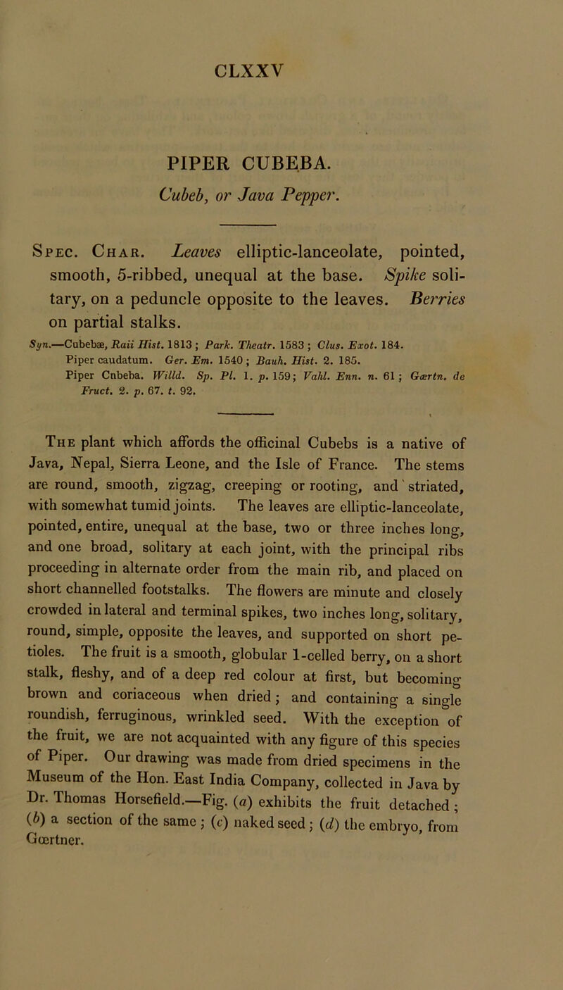 CLXXV PIPER CUBEBA. Cubeb, or Java Pepper. Spec. Char. Leaves elliptic-lanceolate, pointed, smooth, 5-ribbed, unequal at the base. Spike soli- tary, on a peduncle opposite to the leaves. Berries on partial stalks. Syn.—Cubebae, Raii Hist. 1813 ; Park. Theatr. 1583 ; Clus. Exot. 184. Piper caudatum. Ger. Em. 1540 ; Bauh. Hist. 2. 185. Piper Cnbeba. Willd. Sp. PI. 1. 159; Vahl. Enn. n. 61; Gasrtn, de Fruct. 2. p. 67. t. 92. The plant which affords the officinal Cubebs is a native of Java, Nepal, Sierra Leone, and the Isle of France. The stems are round, smooth, zigzag, creeping or rooting, and' striated, with somewhat tumid joints. The leaves are elliptic-lanceolate, pointed, entire, unequal at the base, two or three inches long, and one broad, solitary at each joint, with the principal ribs proceeding in alternate order from the main rib, and placed on short channelled footstalks. The flowers are minute and closely crowded in lateral and terminal spikes, two inches long, solitary, round, simple, opposite the leaves, and supported on short pe- tioles. The fruit is a smooth, globular 1-celled berry, on a short stalk, fleshy, and of a deep red colour at first, but becoming brown and coriaceous when dried j and containing a single roundish, ferruginous, wrinkled seed. With the exception of the fruit, we are not acquainted with any figure of this species of Piper. Our drawing was made from dried specimens in the Museum of the Hon. East India Company, collected in Java by Dr. Thomas Horsefield.—Fig. (a) exhibits the fruit detached; (6) a section of the same ; (c) naked seed j (d) the embryo, from Gocrtner.