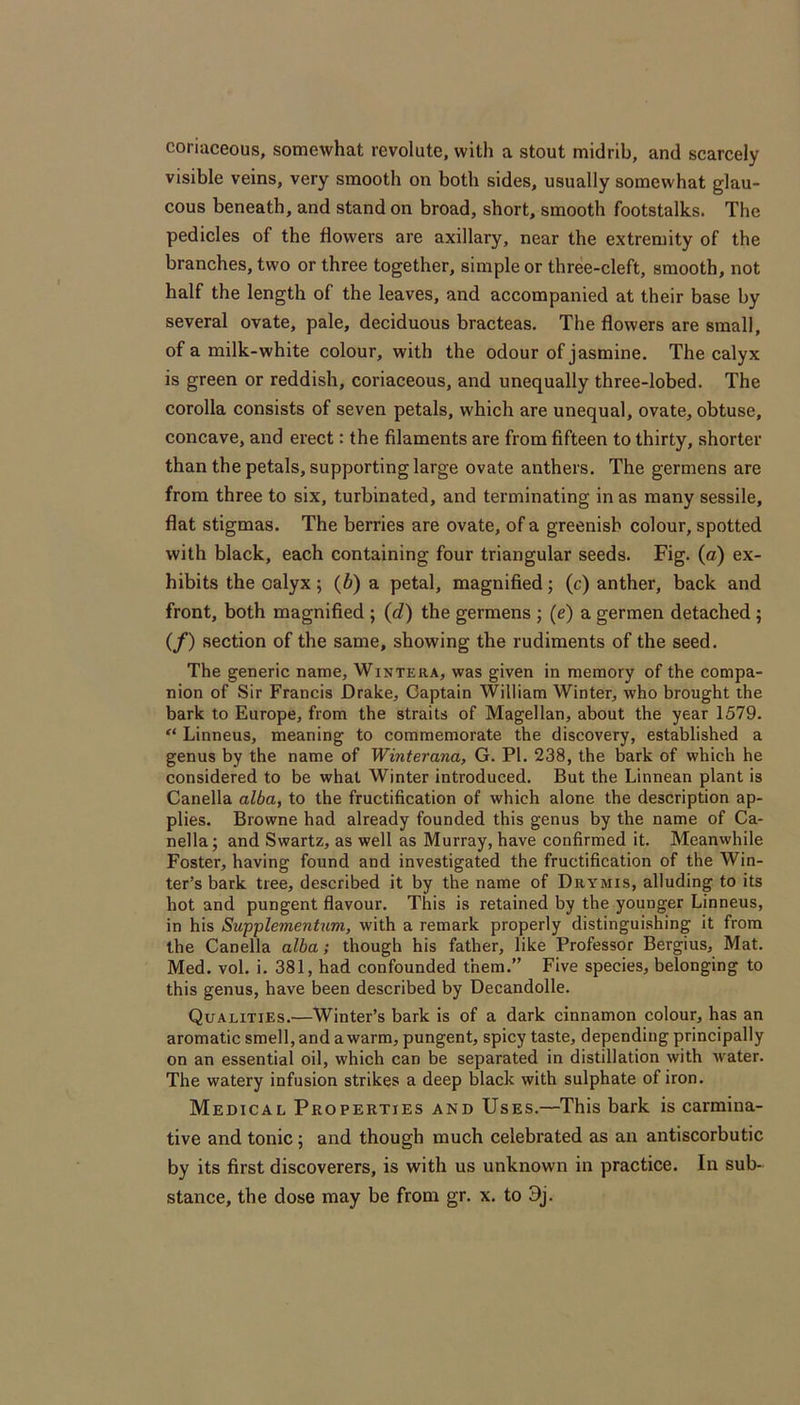 coriaceous, somewhat revolute, with a stout midrib, and scarcely visible veins, very smooth on both sides, usually somewhat glau- cous beneath, and stand on broad, short, smooth footstalks. The pedicles of the flowers are axillary, near the extremity of the branches, two or three together, simple or three-cleft, smooth, not half the length of the leaves, and accompanied at their base by several ovate, pale, deciduous bracteas. The flowers are small, of a milk-white colour, with the odour of jasmine. The calyx is green or reddish, coriaceous, and unequally three-lobed. The corolla consists of seven petals, which are unequal, ovate, obtuse, concave, and erect: the filaments are from fifteen to thirty, shorter than the petals, supporting large ovate anthers. The germens are from three to six, turbinated, and terminating in as many sessile, flat stigmas. The berries are ovate, of a greenish colour, spotted with black, each containing four triangular seeds. Fig. (a) ex- hibits the oalyx; (d) a petal, magnified; (c) anther, back and front, both magnified ; (d) the germens ; (e) a germen detached; (/) section of the same, showing the rudiments of the seed. The generic name, Wintera, was given in memory of the compa- nion of Sir Francis Drake, Captain William Winter, who brought the bark to Europe, from the straits of Magellan, about the year 1579. Linneus, meaning to commemorate the discovery, established a genus by the name of JVmferana, G. PI. 238, the bark of which he considered to be what Winter introduced. But the Linnean plant is Canella aUSa, to the fructification of which alone the description ap- plies. Browne had already founded this genus by the name of Ca- nella; and Swartz, as well as Murray, have confirmed it. Meanwhile Foster, having found and investigated the fructification of the Win- ter’s bark tree, described it by the name of Drymis, alluding to its hot and pungent flavour. This is retained by the younger Linneus, in his Swpplementum, with a remark properly distinguishing it from the Canella alba; though his father, like Professor Bergius, Mat. Med. vol. i. 381, had confounded them.” Five species, belonging to this genus, have been described by Decandolle. Qualities.—Winter’s bark is of a dark cinnamon colour, has an aromatic smell, and a warm, pungent, spicy taste, depending principally on an essential oil, which can be separated in distillation with Avater. The watery infusion strikes a deep black with sulphate of iron. Medical Properties and Uses.—This bark is carmina- tive and tonic; and though much celebrated as an antiscorbutic by its first discoverers, is with us unknown in practice. In sub- stance, the dose may be from gr. x. to 3j.