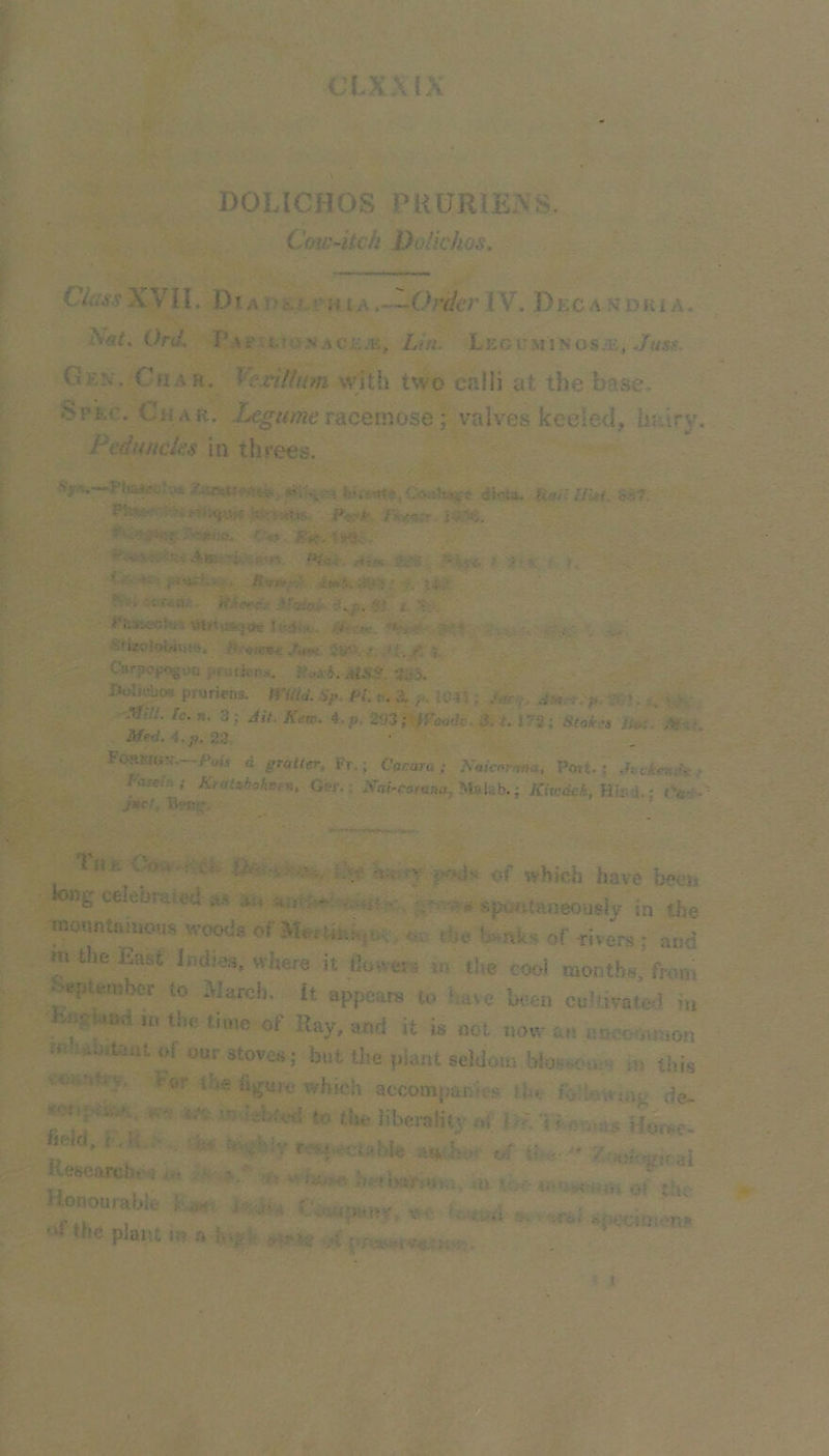f CI.XXIX ^ DOLICHOS PRURIEXS. Cow-itch Do/ic/ios. ^ ^ — C4;f.fXVn. Dr Ai>i,^''}UA.—Or^/t'r IV. Dec a ndiu a. Niit, Ord. Vm^kuohacem, Lin. Legi’minosas,-J<m, Gen. CfiAR. ^'exithim with two calli at the base. Spec. Char. racemose; valves keeled, huiry. Peduncks in threes. ' dWa. Hat'^ HUi. SSf, ^ A3!»N;o. fw; Asi^'^jtv .,4,^ ftigf ? 7'i ■' !. <■. ••.••:.< Aww'-.'- t. lii? gr>^’ , ?>;>i •-•.•««.- ^rrJio^ rK.p. v/i i:. ,<W« iy'. f.i. y: \ - C^j'potK>g;>n pruticpa, pja-4. aI.S.?. hfe H^^bos pruriens. mUd. S,k PL v. a >■. 1045; Jar,. i. ' >. r '■ ^xi • 3j Jf«o. 4.p. 2<J3; #W«). 3;'#. J72; Btf. ; . V Med, 4. p, 22. Forwg:,'—G ^rai/er, Fr.; Cacura; Naicervta, Port.; |g Fa5e/»; Ktnlubohren, Ger.; AWara««, Malab.; /Gw^fcA, Hind.: C*/- liii-. CoH : i;,. .. ,, : which have beeij ng celebrated a,■i au jj, mountmuous woods . ..v the Unks of dvers ; and m the East indies, where it dower-j in the cool months, from September to March, it appears to have been cultivated ia .iiciaad u, the time of Ray, and it is not now an nneotmaon m.raoitrmt of our stoves j but the plant seldom bh^^cnm m this xCGoO ,. bor toe figure which accompanies tht roltow-mg de- i/e to the liberality of l>f. Ti cuoiw Horse- held, r r.^,y.A:Uble .iu,hm of d e  ■escarc t j ,,, . .. hi:'i»;»iro>»;-.. vo u-k^hu,, oi the Honourable h.v*. i • .i* of th^ plant ny .a luifP A X