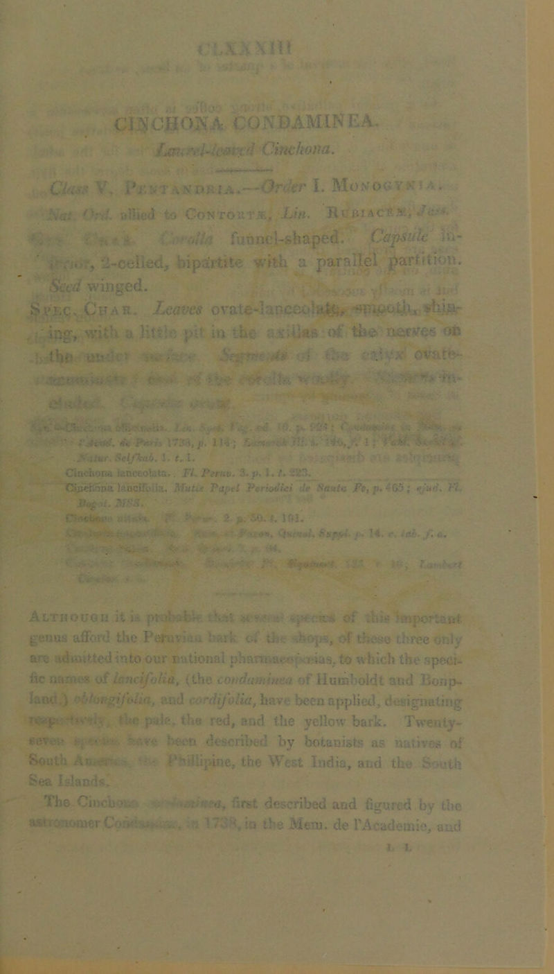 CliJCIIOKA CONBAMIN KA. /jn-iKl-icaffd 'Cinchom. Clus!^ V. Pr.i'TANDKiA.—Order I. MoNociVKiAr Nat Ord allied to Con tout jp., Lin. RuBiAc:ABi>/e.' '. V Ci''V/'/f7 futincl-shaped. Cafsulc Jii- 2-celied;, bipartite with a parallel partition. winged. ; vl n; • : I'BQ, .C HA R. Leaves ovate“lancot>l^> shi^^r • ing, with, a little pit in ihc 'U'iilaa trf the> ^mb : the un;iv5 Sf'^^^c^dV: i-i ?*?.^yj?> ovate~ ■ •rr.;' =.'44ij^ ^ £?f-Ol- ^ ^ . ■ . . . 'r>. . < ■ 'VJ.-'■' ’V* i -‘tX 1'^, r-.-s. i^. ^ t ' • i!\ i*»m 17»3, 114 ; 11 r*GA^-ihr4*^V’ .J^'.;ttif.Selj'kab,l,t,.l, ■ .■■' '''fi; Cinchona lanceolata.. FI. Pemv. 3. v. 1, f. 223, TSpchona lAhcifoUa. MhUs Papei PerioJiei df Seata Pc, p, 405; «Jud. FI. n.-.C*W- ; :'.». r ^'v* =i* . 2. p, SO, I. Jftl'. • . - V -' «: >’^roj». S»ppL p. 14. <*. iab-J', a. Although it U pmK;h>' ■ ^;.’*r': %^*.c.tcs> of diis Jtnpoj*t6i;t genus afford the Peruviau b,irk of tke 'tibops, of these three Only are admitted into our national phanrsa€.i>fKuias, to which the apect- fic uanii'S of lancyhlia, (the cohdaminea of Humboldt and Bonp- lantt,) (ddangijUia, and Cfw/jyb/ia, have been appHetl, designating fue pah*, the red, and the yellow bark. Twenty- 6dveu “-.r.vc been described by botanists as natives of South Aui*-'. ' - PhiUipiiie, the West India, and the South Sea Islandsi 'Ihe CiueboaoLt xi •'>.*»;f??a, first described and figured by the astro:iomerCorkl3Jiv.:.., '-n 1738,to the Mem. de FAcademie, -dud