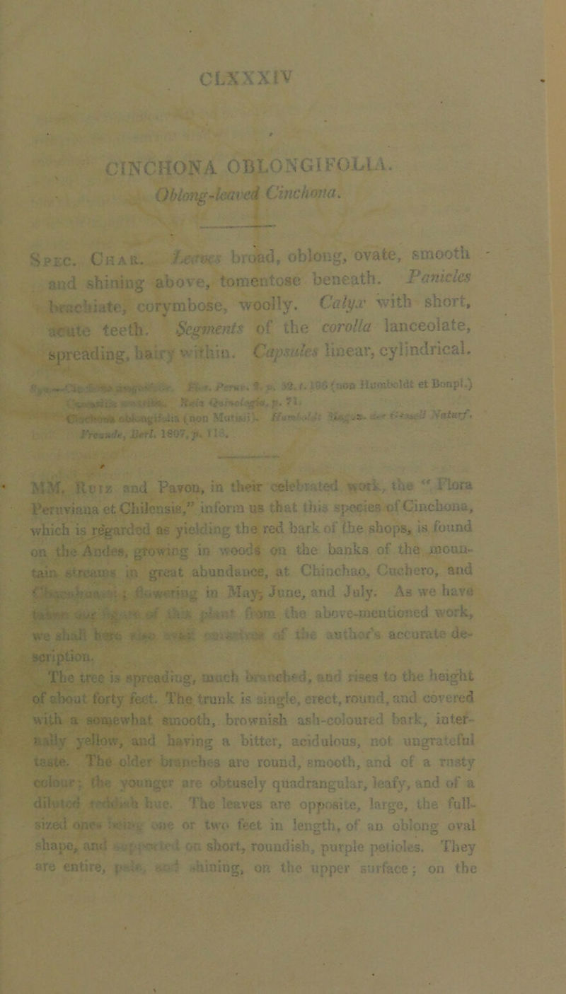 CINCHONA OBLONG!FOLIA, > Oblong-leaved Cinchona. 4. Spec. Chau. :U<ms brciad, oblong, ovate, smooth and shining above, tonientose beneath. Panicles brachiate, corymbose, woolly. Calyi' with short. at*ute teeth. Segments of the corolla lanceolate, - spreading, hairy within. Capsules linear, cylindrical. ' ,! —^ t.ft >«.f4Se(!i00 Humboldt et Bonpl.) t Vywiiji ■ R<t(* OarWiJj^Kr. p. ChJrtw** &{>kingiWta ( non T^aturf, J'Vcaurfft litt-L 1607,}). 11b, MM. Hoiz and Pavou, in thetr oelebfAteri work, the ** Flora Peruviana et Chilonsis,” inform us that this species of Cinchona, which is r^arded ae yielding the red barkot the shops, is ibund on the Andes, growing in wood^ on the banks of the inouu- taia streams in great abundance, at Chinchao, Cuchero, and ; dowering in May; June, and July. As we have plitvir the above-meutioned work, we ahaJi h«*rc ' «>as{v# r/ the author's accurate de- scription. The tree is spreading, much branched, and rises to the height of about forty feet. The. trunk is single, erect, round, and covered with a sottjewhat smooth, brownish ash-coloured bark, inlef- naily yellow, and having a bitter, acidulous, not ungrateful taste. The older branches are round, smooth, and of a rusty colour: the younger are obtusely quadrangular, leafy, and of a diluied hue. The leaves are opposite, large, the full- sized ii'i- one or two feet in length, of an oblong oval shape, anil I on short, roundish, purple petioles. They are entire, pr-j?., d .Jiining, on the upper surface; on the