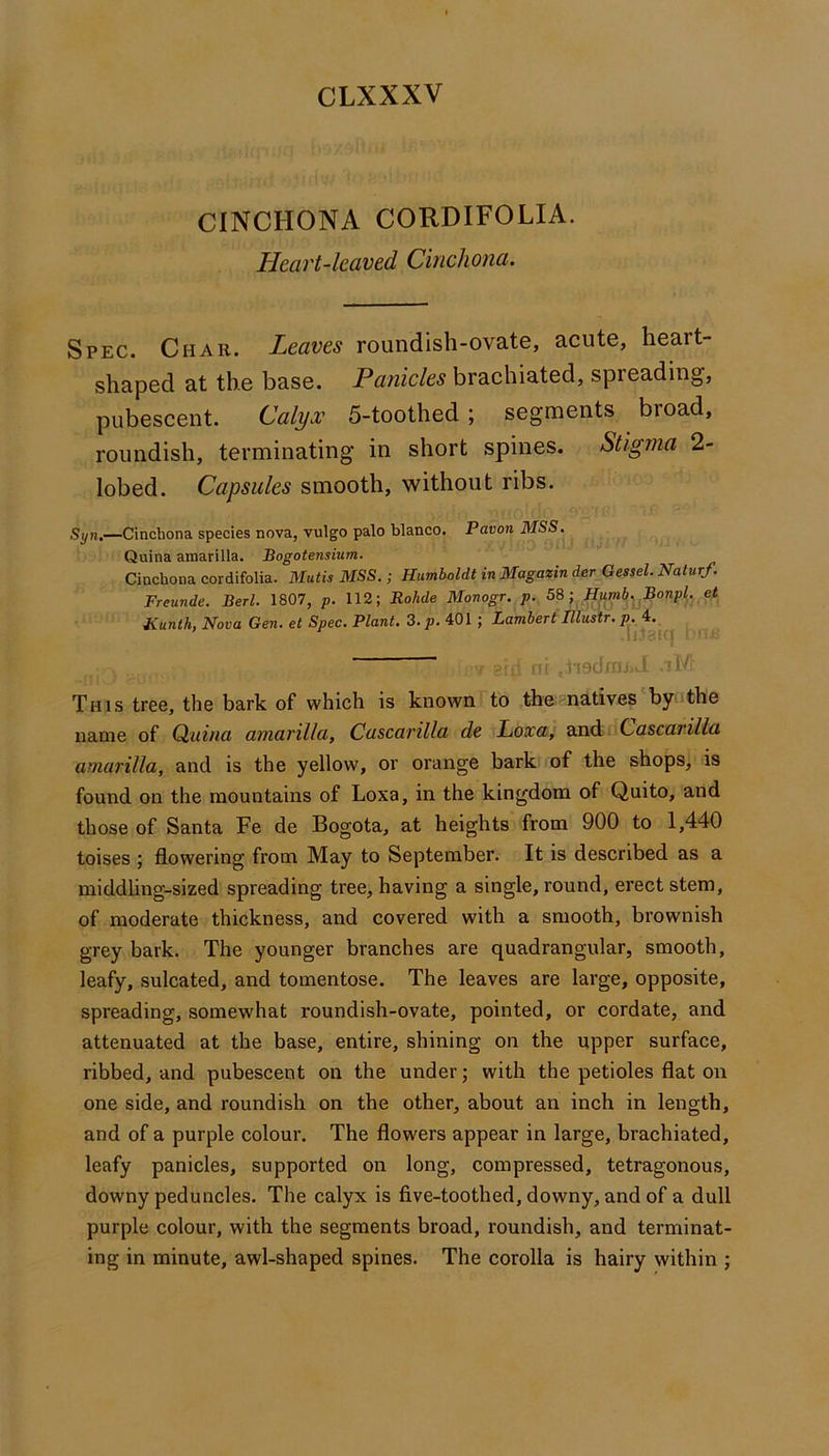 CINCHONA CORDIFOLIA. Heart-leaved Cinchona. Spec. Char. Leaves roundish-ovate, acute, heart- shaped at the base. Panicles brachiated, spreading, pubescent. Calyx 5-toothed; segments broad, roundish, terminating in short spines. Stigma 2- lobed. Capsules smooth, without ribs. Syn.- -Cinchona species nova, vulgo palo bianco. Pavon MSS. Quina amarilla. Bogotensium. Cinchona cordifolia. Mutis MSS.; Humboldt in Magazin der Gessel. Naturf. Freunde. Bed. 1807, p. 112; Rohde Monogr. p. H^rnb. Bonpl. et Kunth, Nova Gen. et Spec. Plant. 3. 401; Lambert Ulustr. p. 4. .11 ;itq - ' ii This tree, the bark of which is known to the natives by ithe name of Quina amarilla, Cascarilla de Loxa^ andiiC<2sca/*i7/a amarilla, and is the yellow, or orange bark of the shops, is found on the mountains of Loxa, in the kingdom of Quito, and those of Santa Fe de Bogota, at heights from 900 to 1,440 toises ; flowering from May to September. It is described as a middling-sized spreading tree, having a single, round, erect stem, of moderate thickness, and covered with a smooth, brownish grey bark. The younger branches are quadrangular, smooth, leafy, sulcated, and tomentose. The leaves are large, opposite, spreading, somewhat roundish-ovate, pointed, or cordate, and attenuated at the base, entire, shining on the upper surface, ribbed, and pubescent on the under; with the petioles flat on one side, and roundish on the other, about an inch in length, and of a purple colour. The flowers appear in large, brachiated, leafy panicles, supported on long, compressed, tetragonous, downy peduncles. The calyx is five-toothed, downy, and of a dull purple colour, with the segments broad, roundish, and terminat- ing in minute, awl-shaped spines. The corolla is hairy within ;