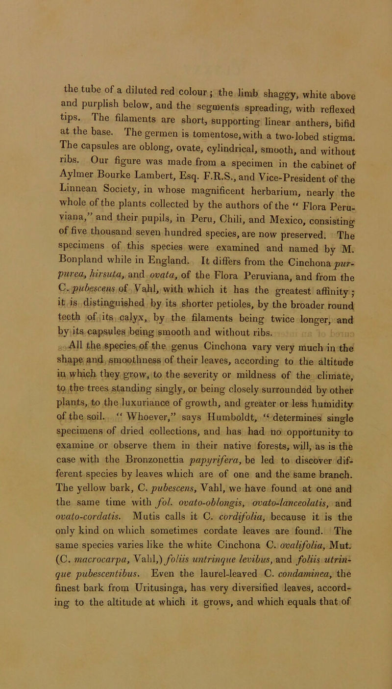 the tube of a diluted red colour ; the limb shaggy, while above and purplish below, and the segments spreading, with reflexed tips. The filaments are short, supporting linear anthers, bifid at the base. The germen is tomentose,with a two-lobed stigma. The capsules are oblong, ovate, cylindrical, smooth, and without ribs. Our figure was made from a specimen in the cabinet of Aylmer Bourke Lambert, Esq. F.R.S., and Vice-President of the Linnean Society, in whose magnificent herbarium, nearly the whole of the plants collected by the authors of the “ Flora Peru- viana, and their pupils, in Peru, Chili, and Mexico, consisting of five thousand seven hundred species, are now preserved. The specimens of this species were examined and named by M. Bonpland while in England. It difiers from the Cinchona purea, hirsuta, and ovata, of the Flora Peruviana, and from the C. pubescens oi Vahl, with which it has the greatest affinity; it is distinguished by its shorter petioles, by the broader round teeth of its calyx, by the filaments being twice longer, and by its capsules being smooth and without ribs. All the species of the genus Cinchona vary very much in the shape and smoothness of their leaves, according to the altitude in which they grow, to the severity or mildness of the climate, to the trees standing singly, or being closely surrounded by other plants, to the luxuriance of growth, and greater or less humidity of the soil. “ Whoever,” says Humboldt, “ determines single specimens of dried collections, and has had no opportunity to examine or observe them in their native forests, will, as is the case with the Bronzonettia papyrifera, be led to discover dif- ferent species by leaves which are of one and the same branch. The yellow bark, C. pubescens, Vahl, we have found at one and the same time with fol. ovato-ohlongis, ovato-lariceolatis, and ovato-cordatis. Mutis calls it C. cordifolia, because it is the only kind on which sometimes cordate leaves are found. The same species varies like the white Cinchona C. ovalifolia, Mut. (C. macrocarpa, Vahl,) foliis untrinqne levibus, and foliis utrin- que pubescentibus. Even the laurel-leaved C. condaminea, the finest bark from Uritusinga, has very diversified leaves, accord- ing to the altitude at which it grows, and which equals that of